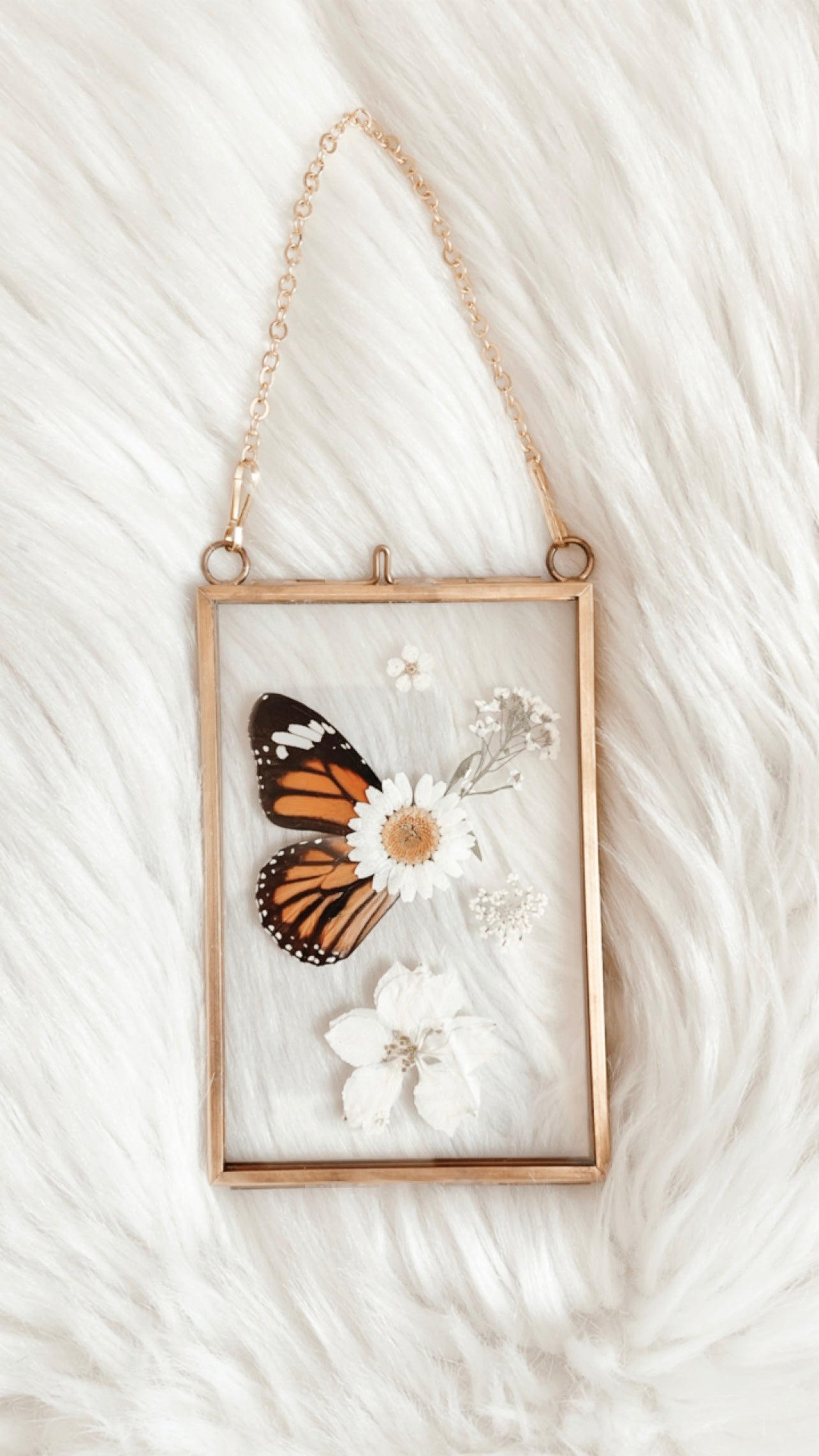 Louise Butterfly Floral Frame