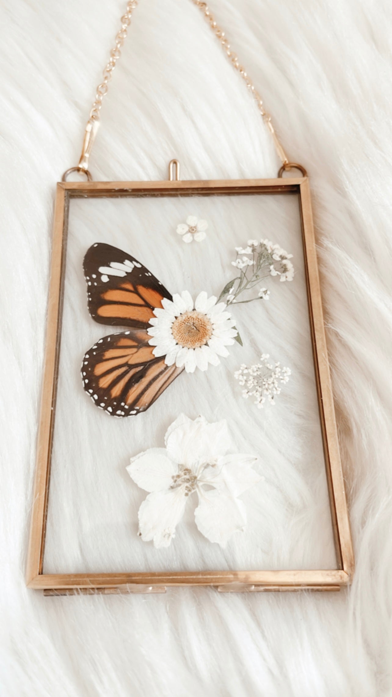 Louise Butterfly Floral Frame