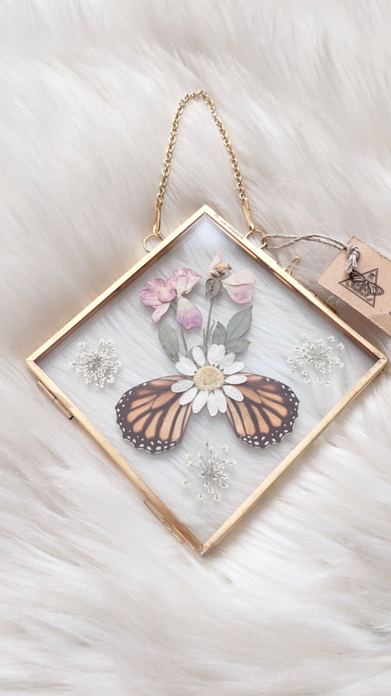 Lucia Butterfly Floral Frame <5.5x5.5in>