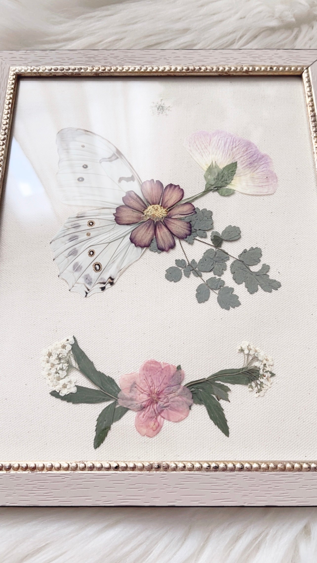 Lucille Butterfly Ornate Frame