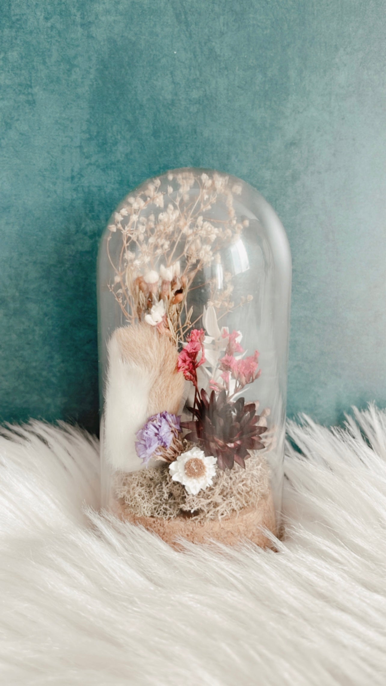 Lucy Terrarium