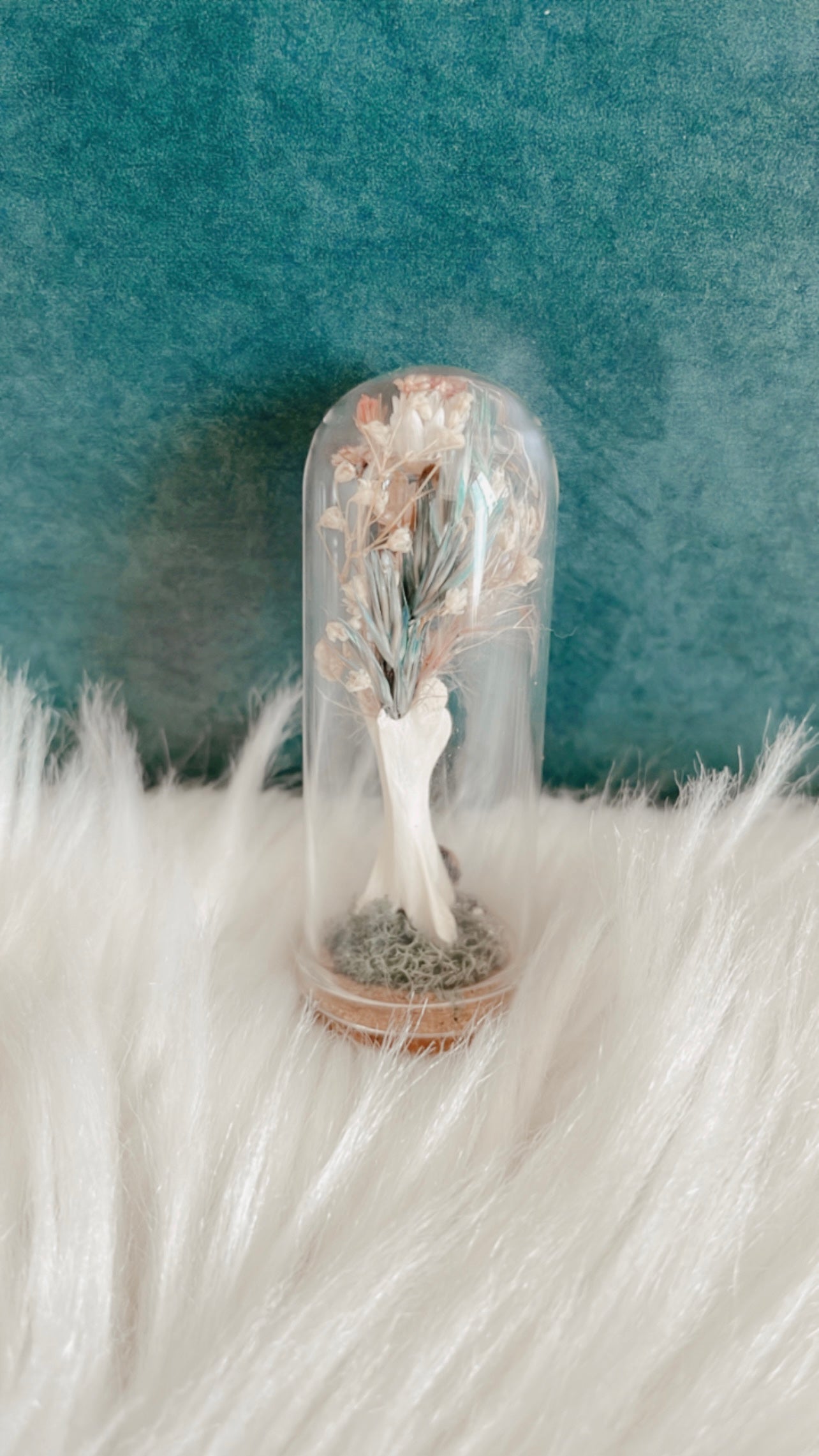 Maggie Terrarium