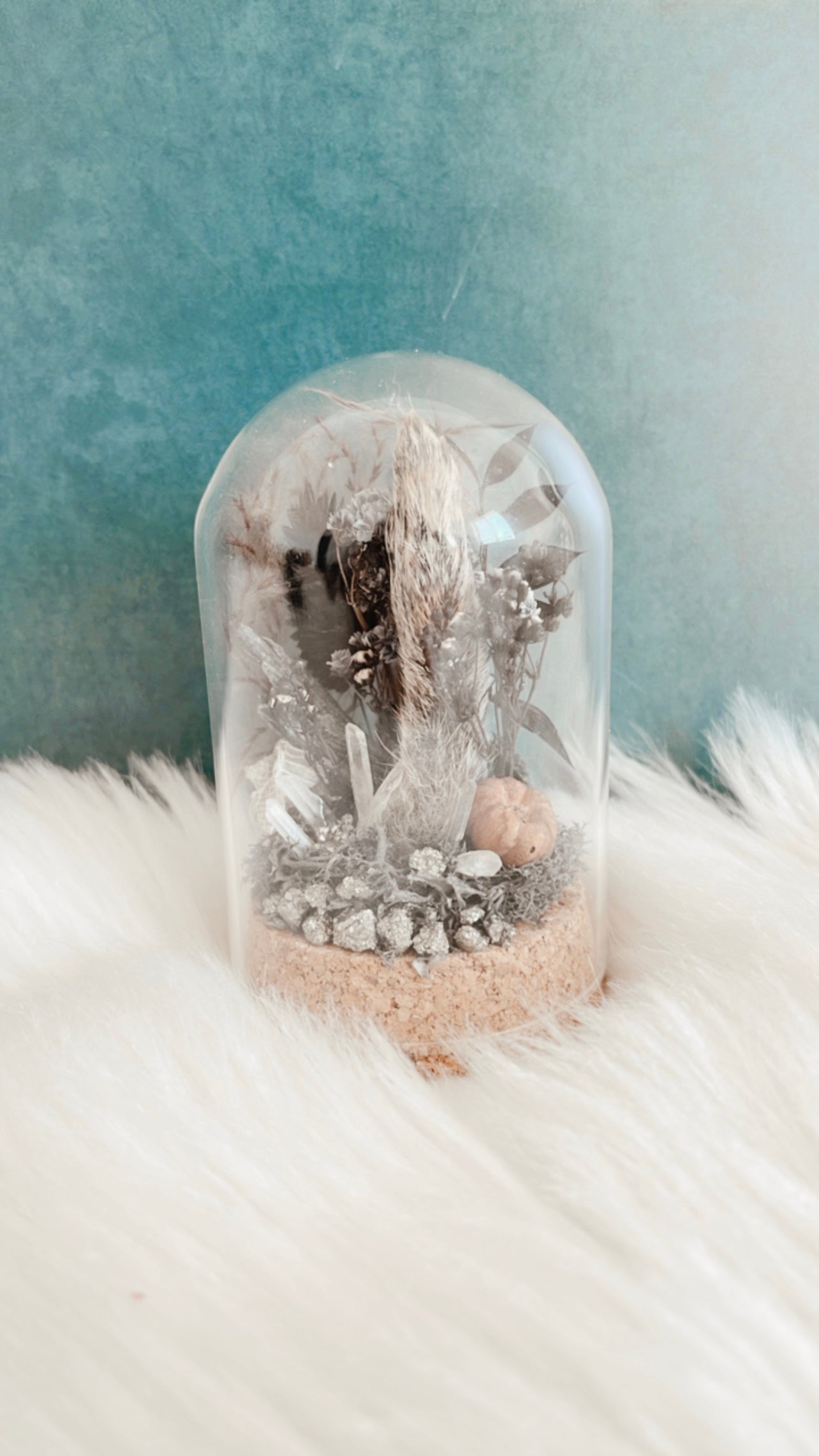 Lurch Squirrel Foot Terrarium
