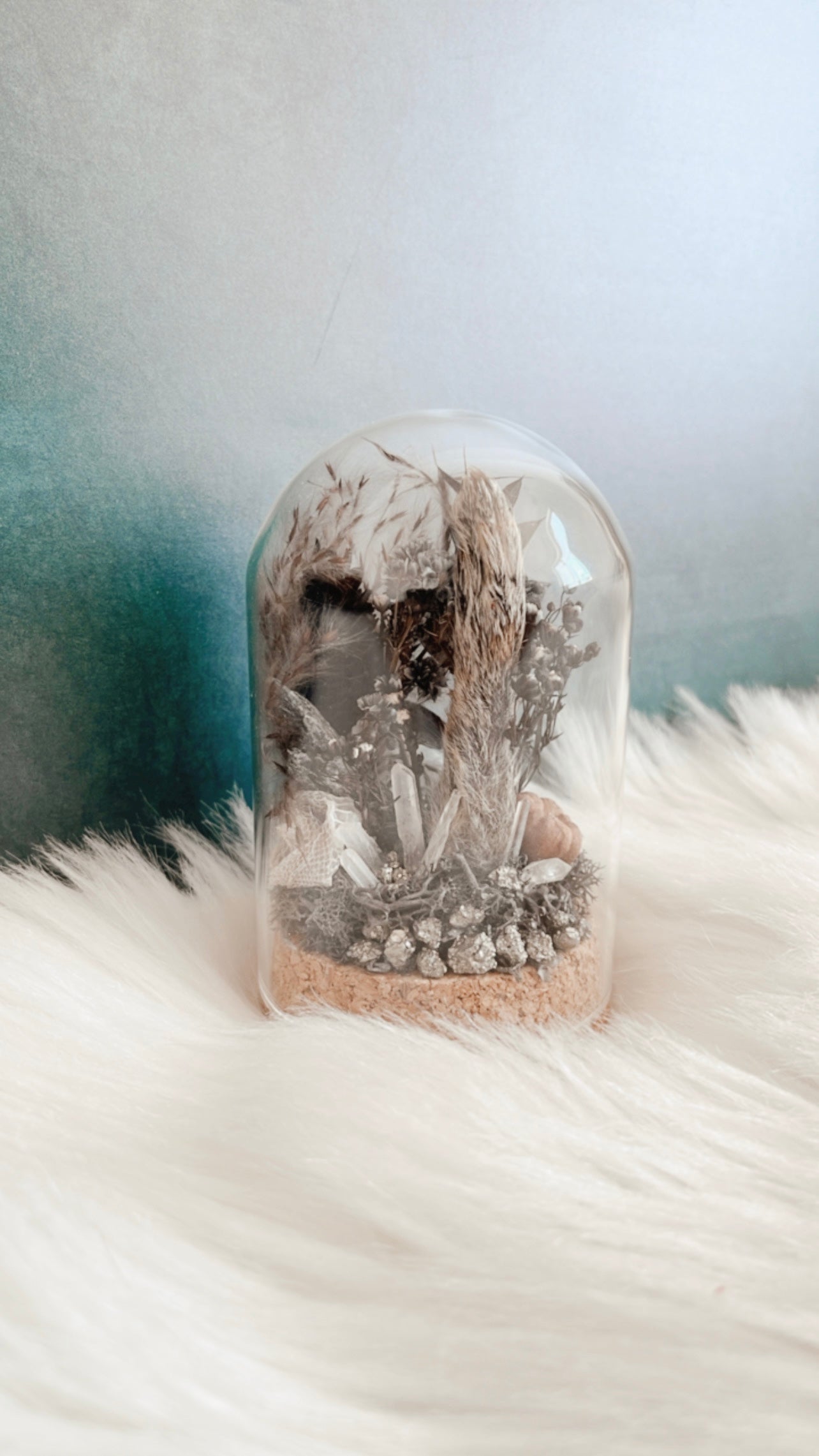 Lurch Squirrel Foot Terrarium