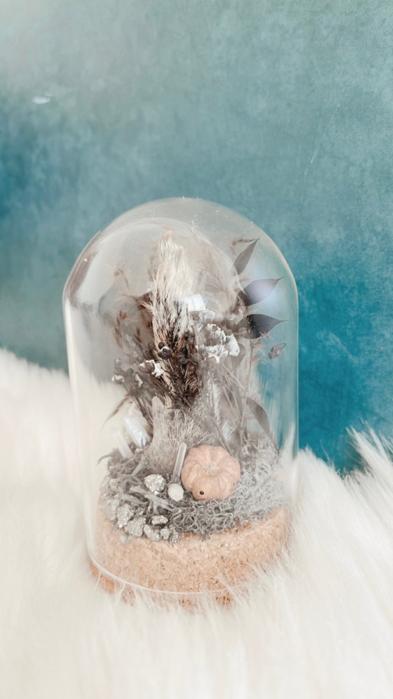Lurch Squirrel Foot Terrarium