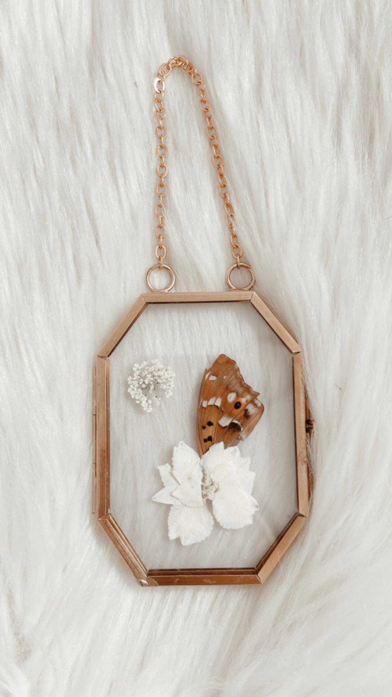 Mabel Butterfly Floral Frame
