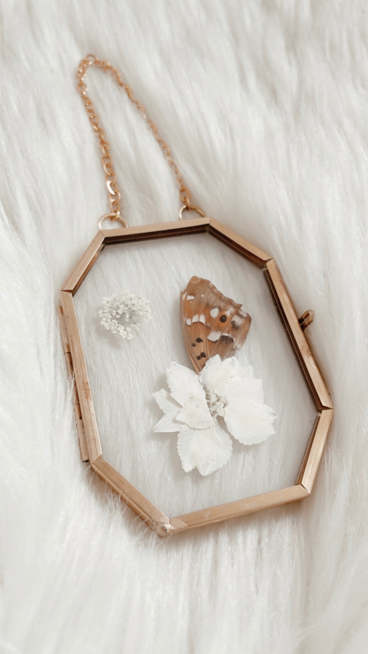 Mabel Butterfly Floral Frame