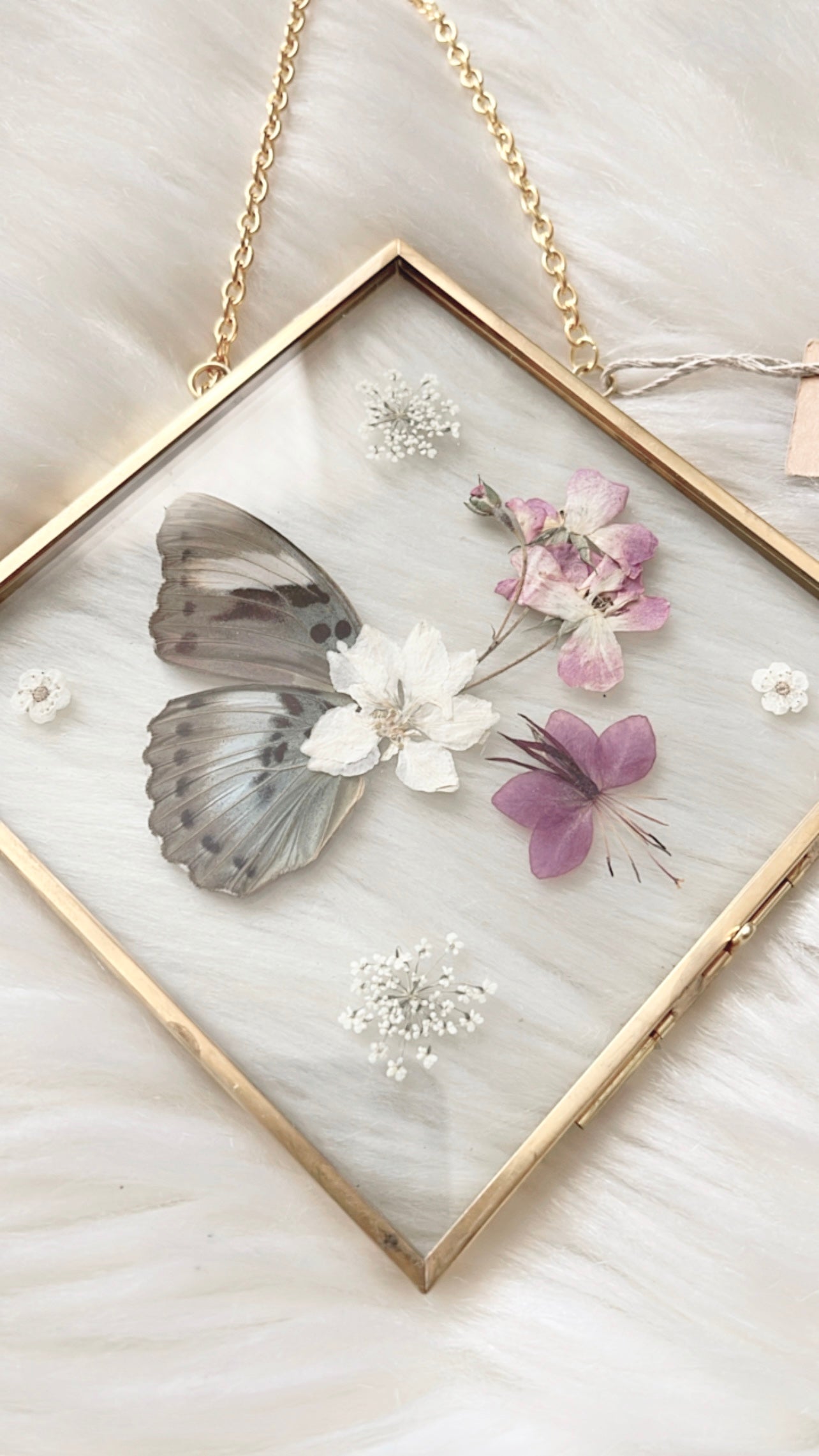 Mabel Butterfly Floral Frame <6.5x6.5in>
