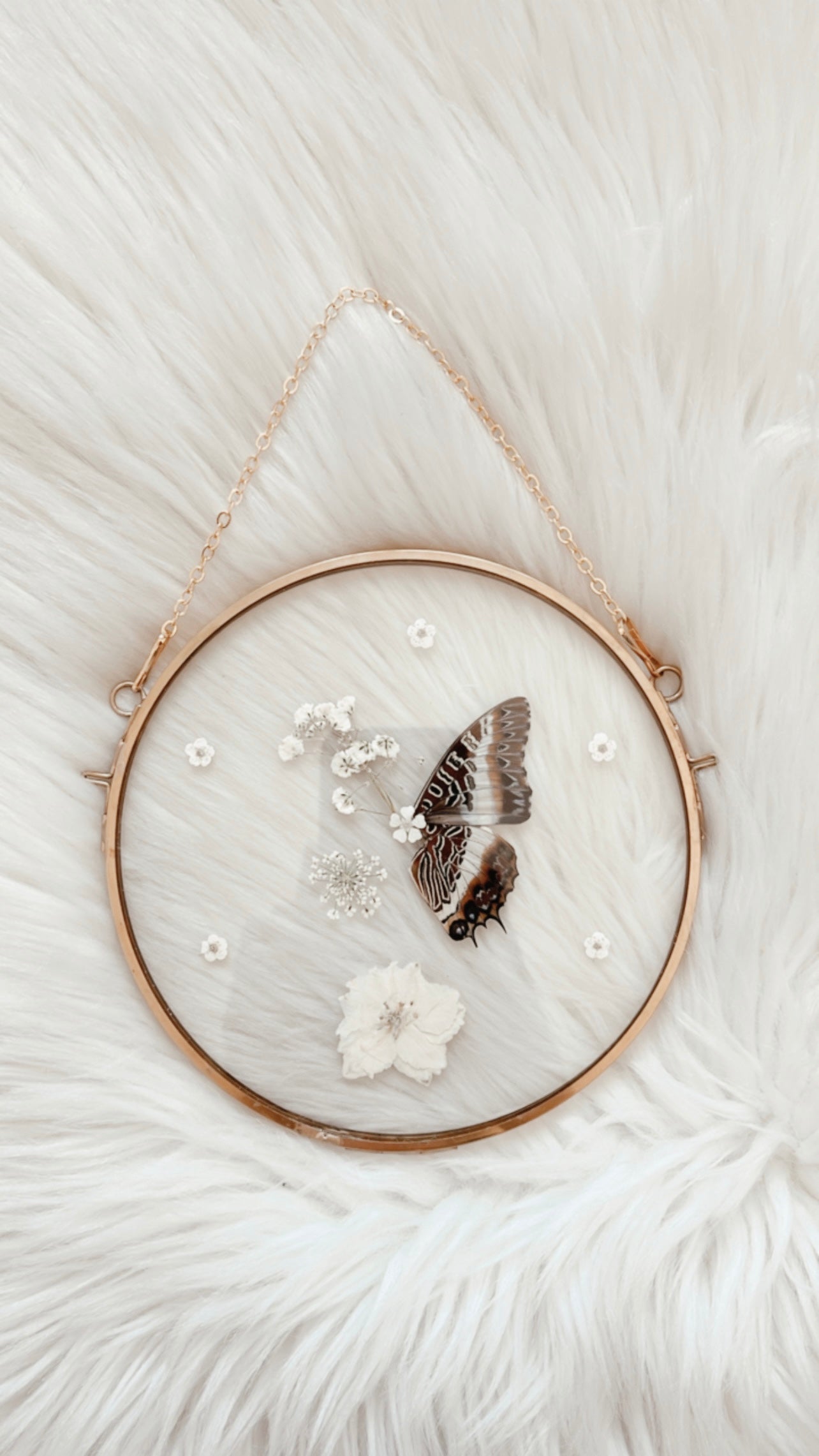 Mabel Butterfly Floral Frame