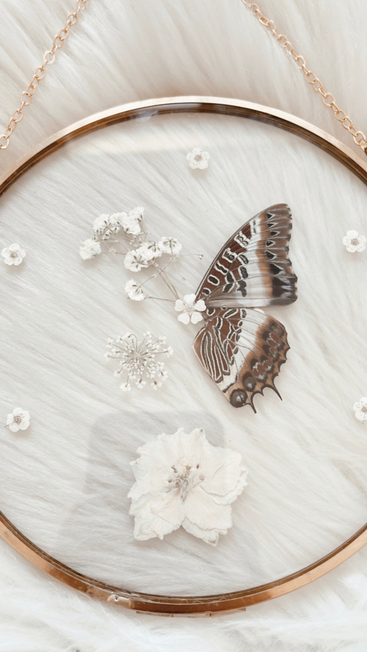 Mabel Butterfly Floral Frame