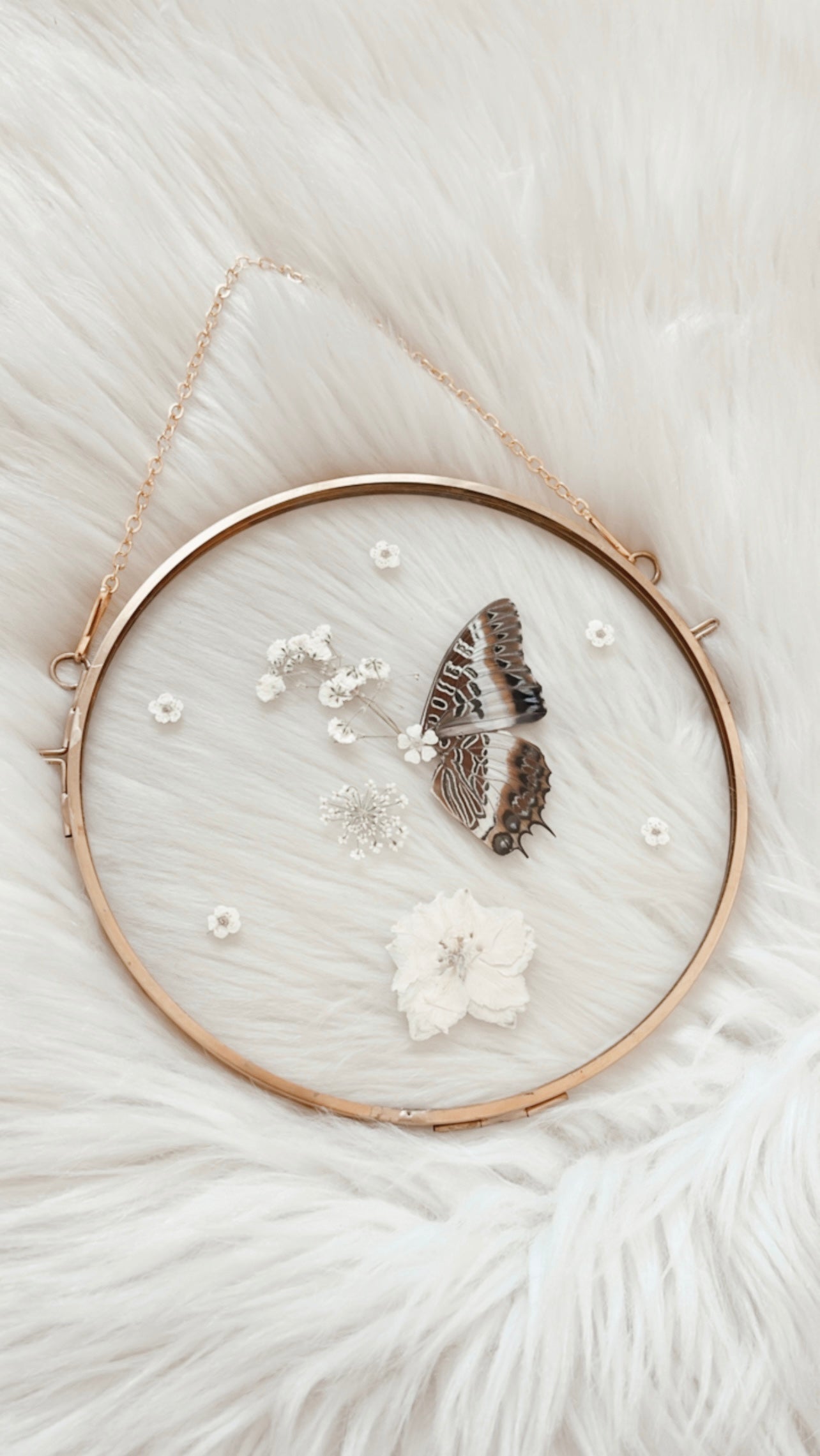 Mabel Butterfly Floral Frame