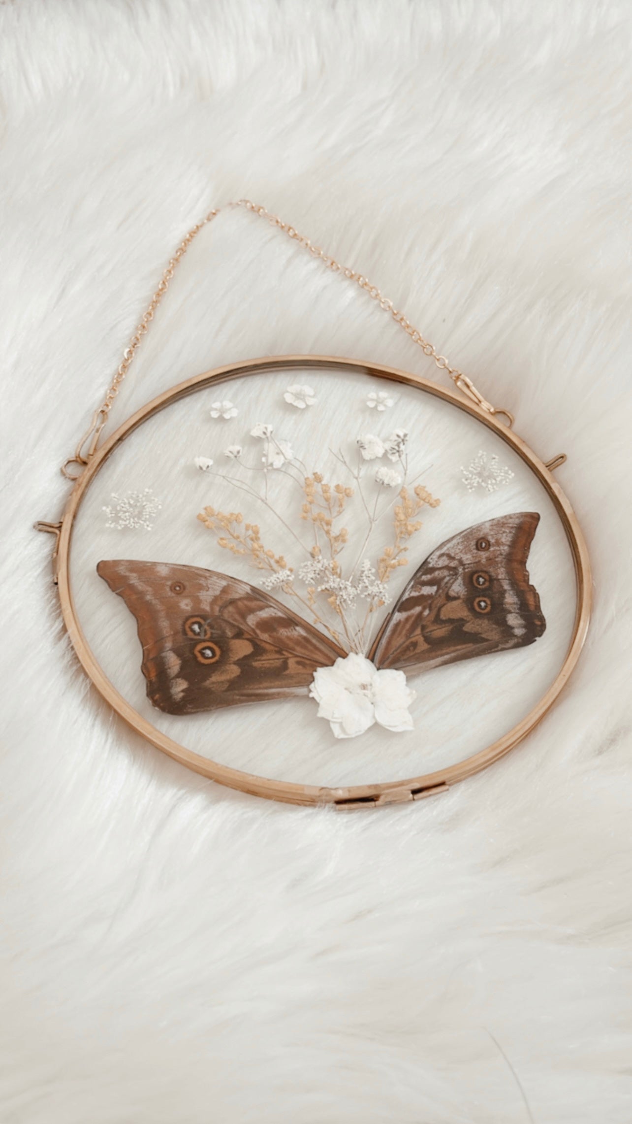 Madeleine Butterfly Floral Frame
