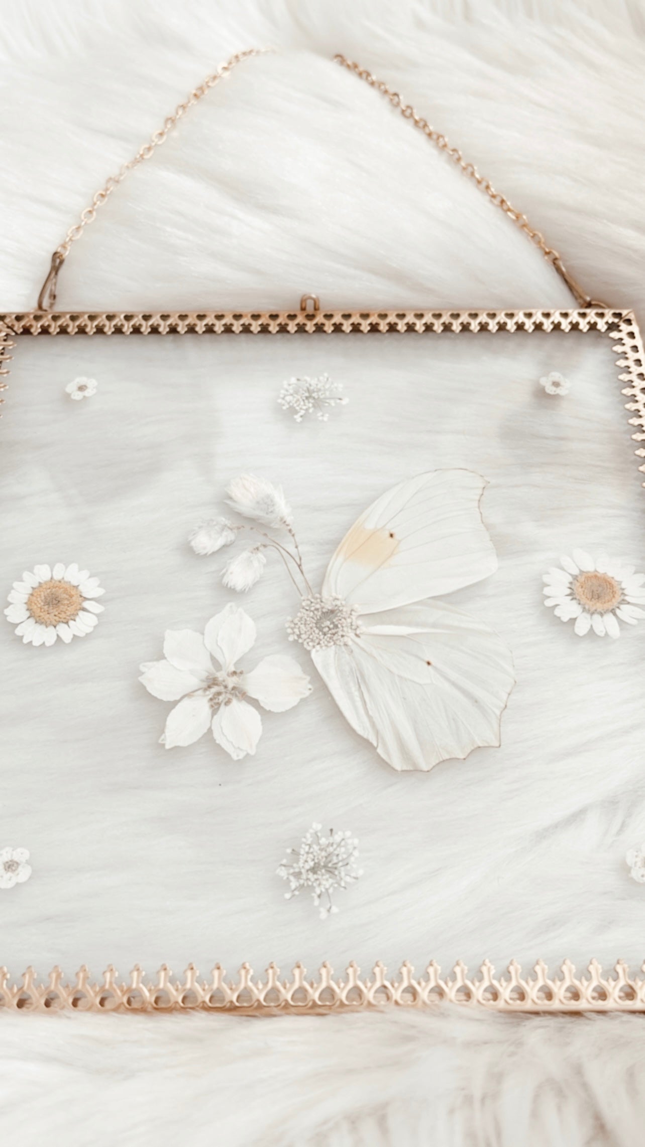 Madeleine Butterfly Floral Frame