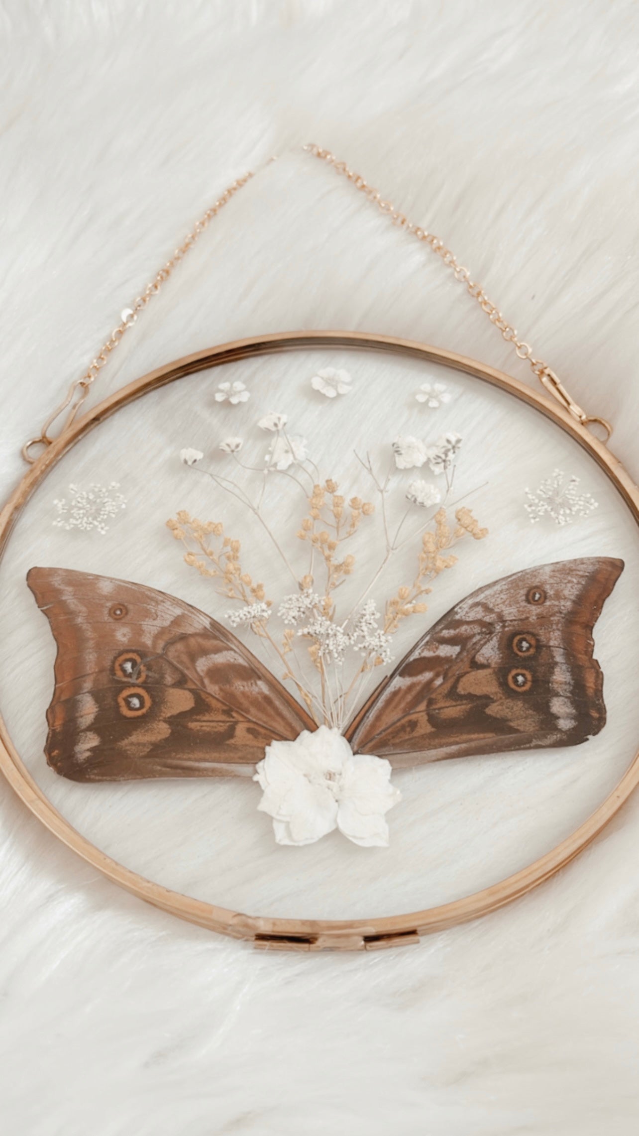 Madeleine Butterfly Floral Frame