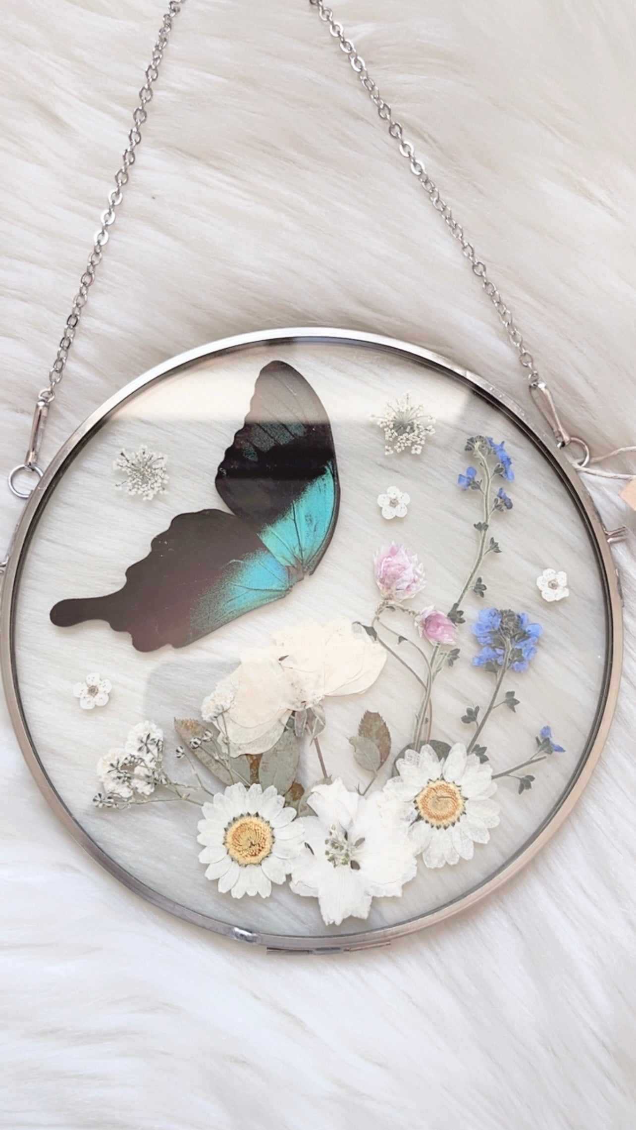 Madeline Butterfly Floral Frame <6.25in>
