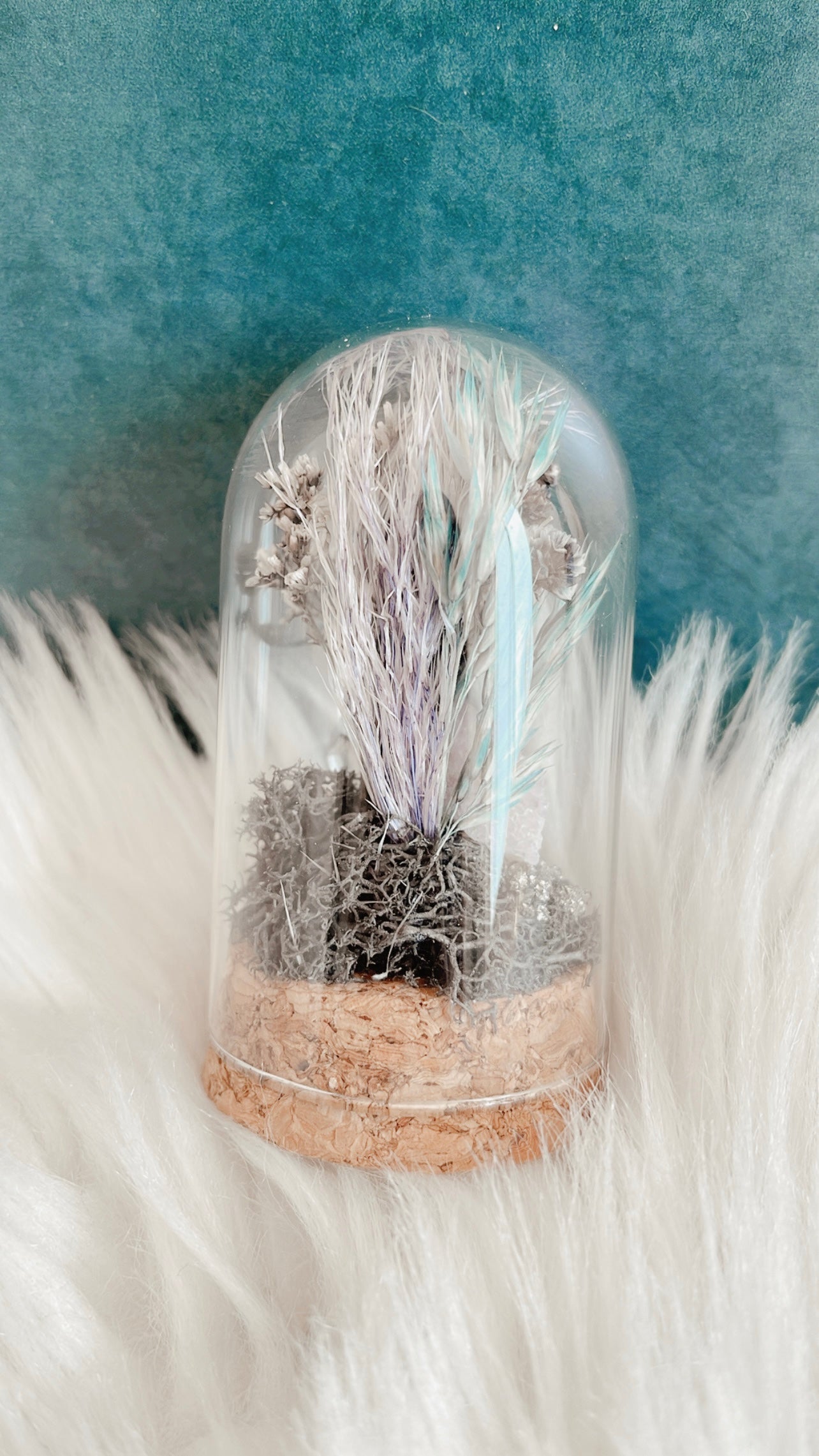 Madison Terrarium
