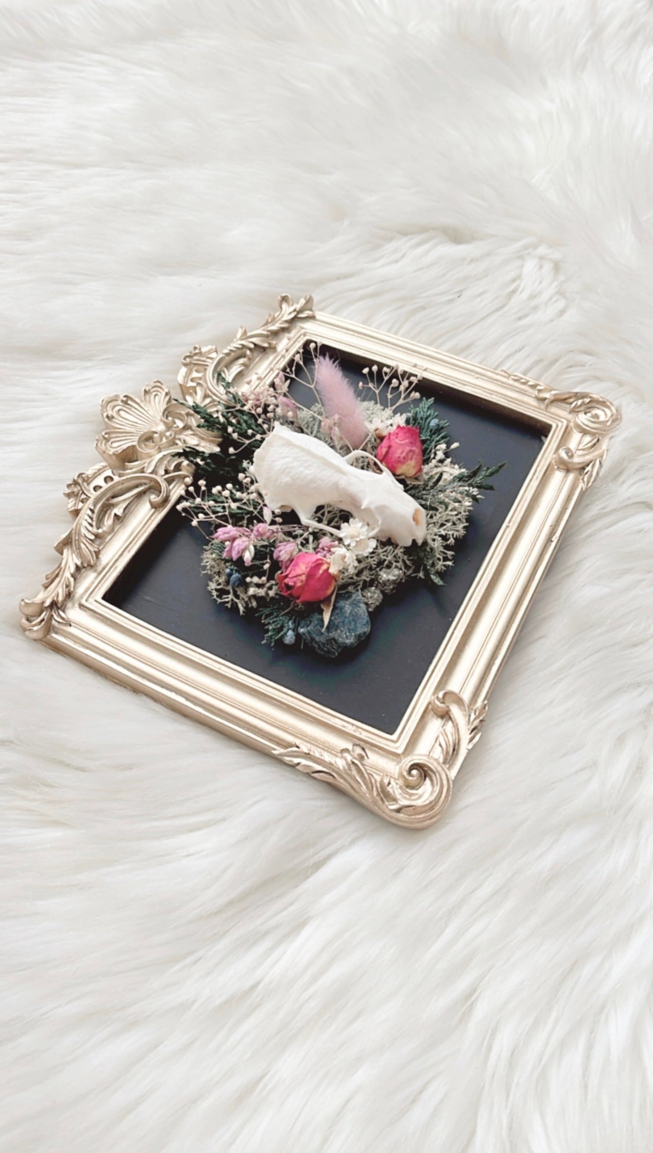 Maeve Oddities Frame <Mink Skull>
