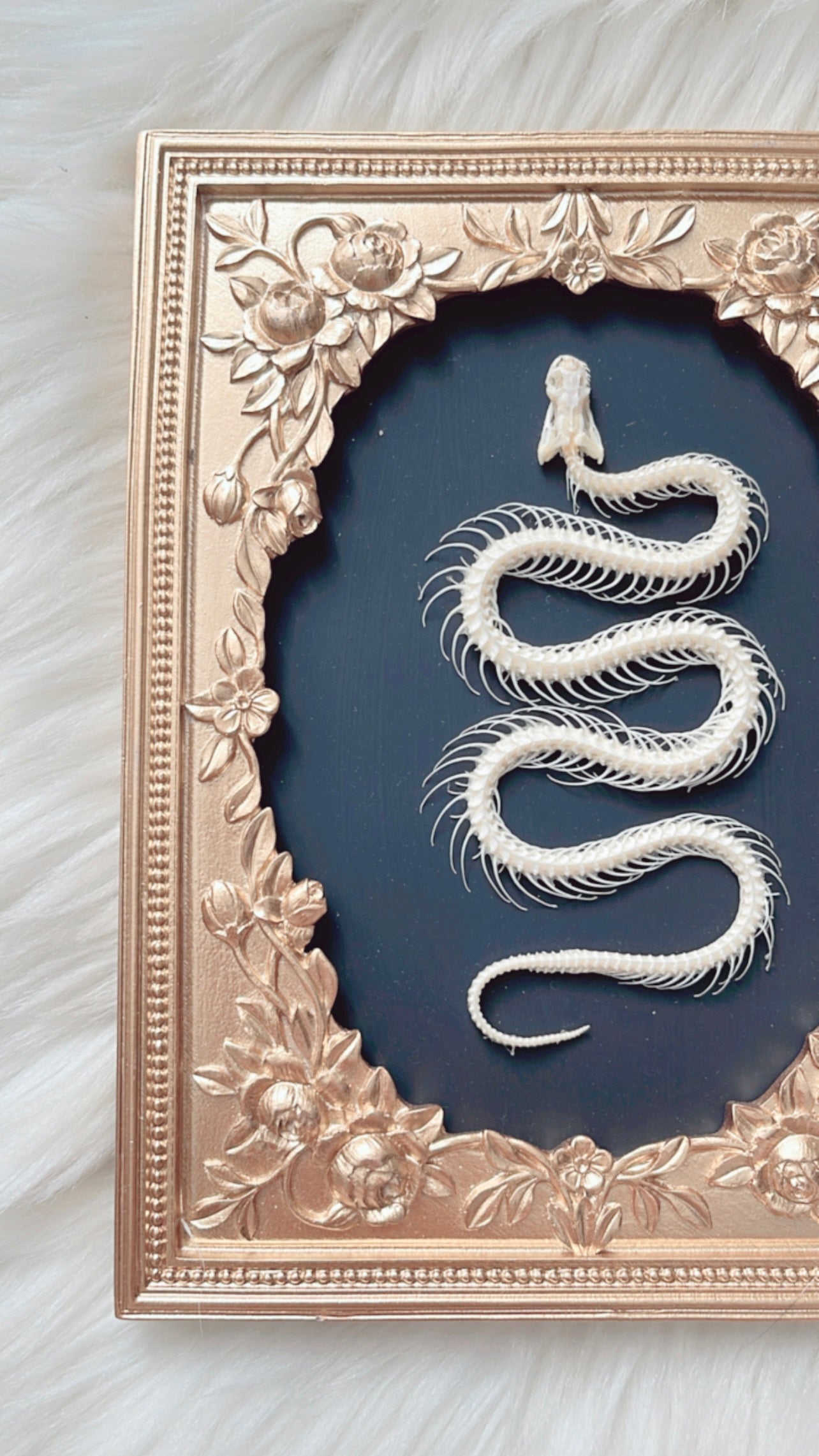 Maeve Snake Skelly Frame