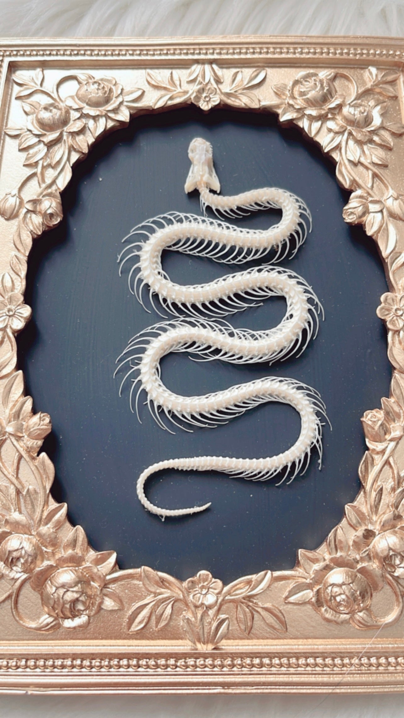 Maeve Snake Skelly Frame