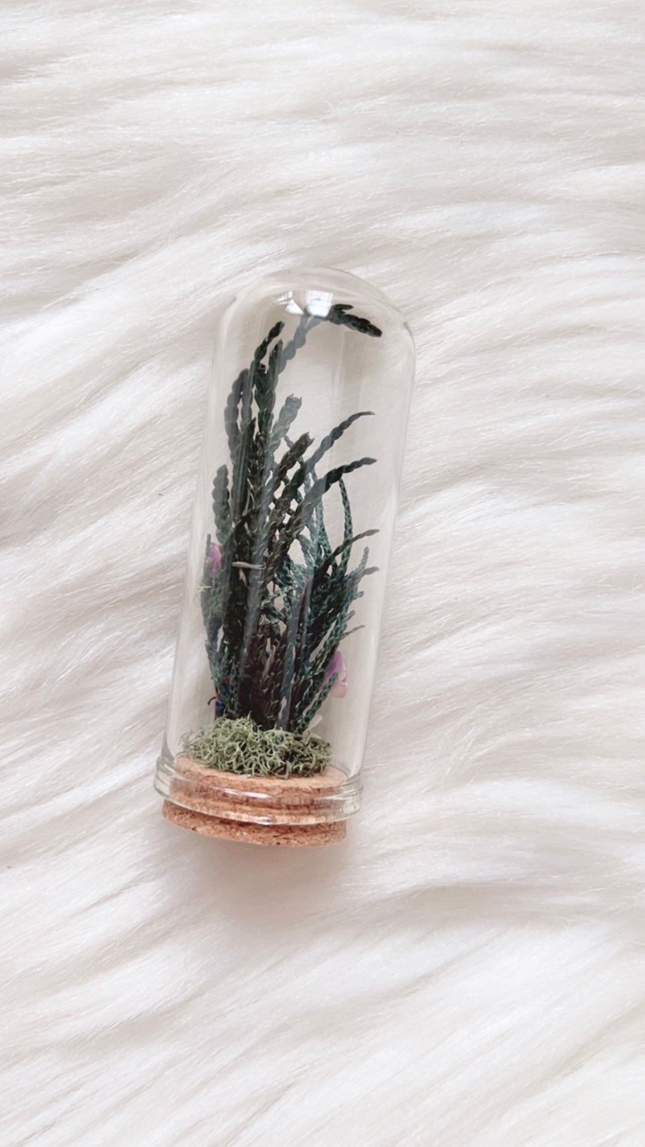 Maeve Terrarium