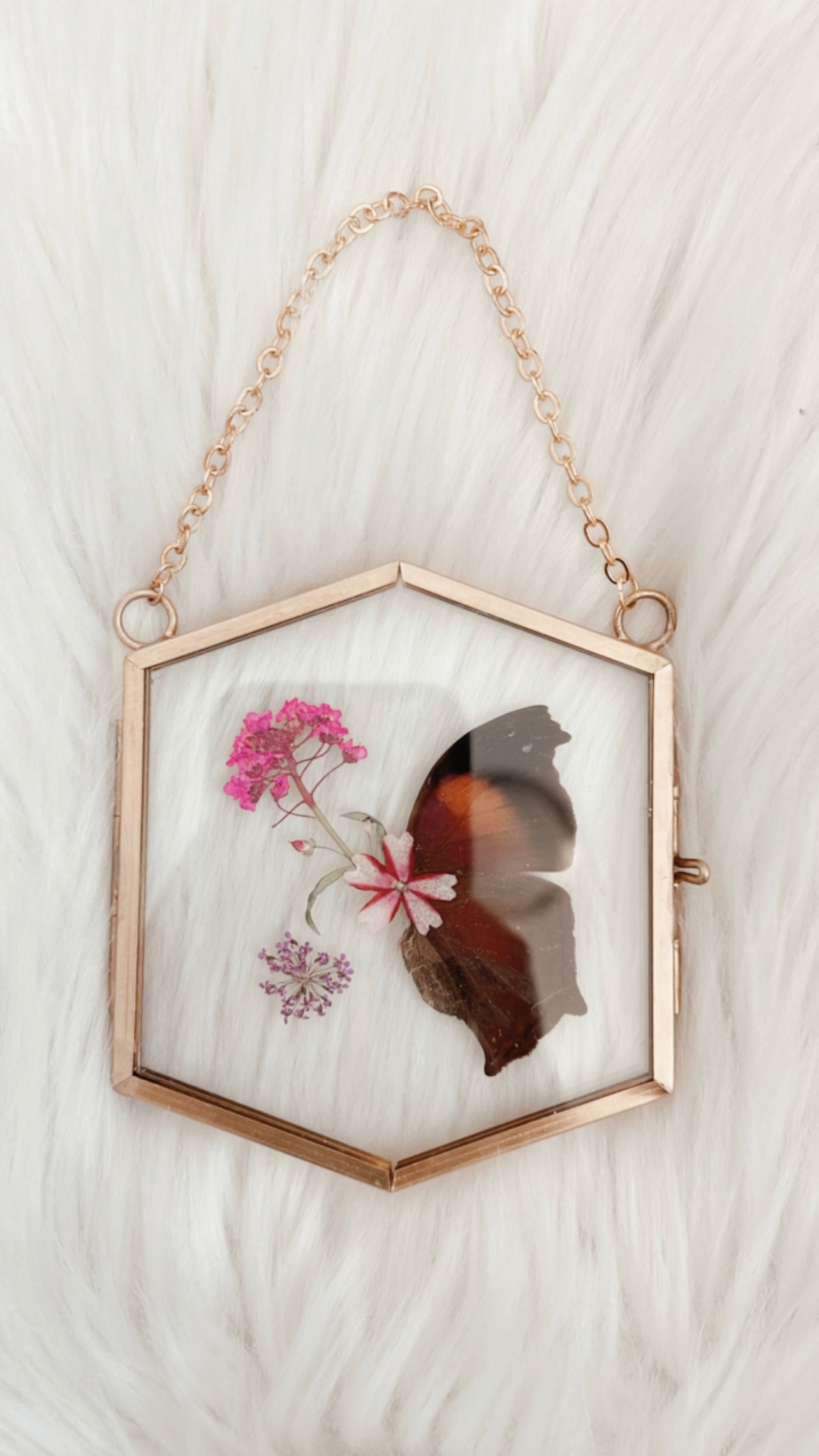 Magenta Butterfly Floral Frame