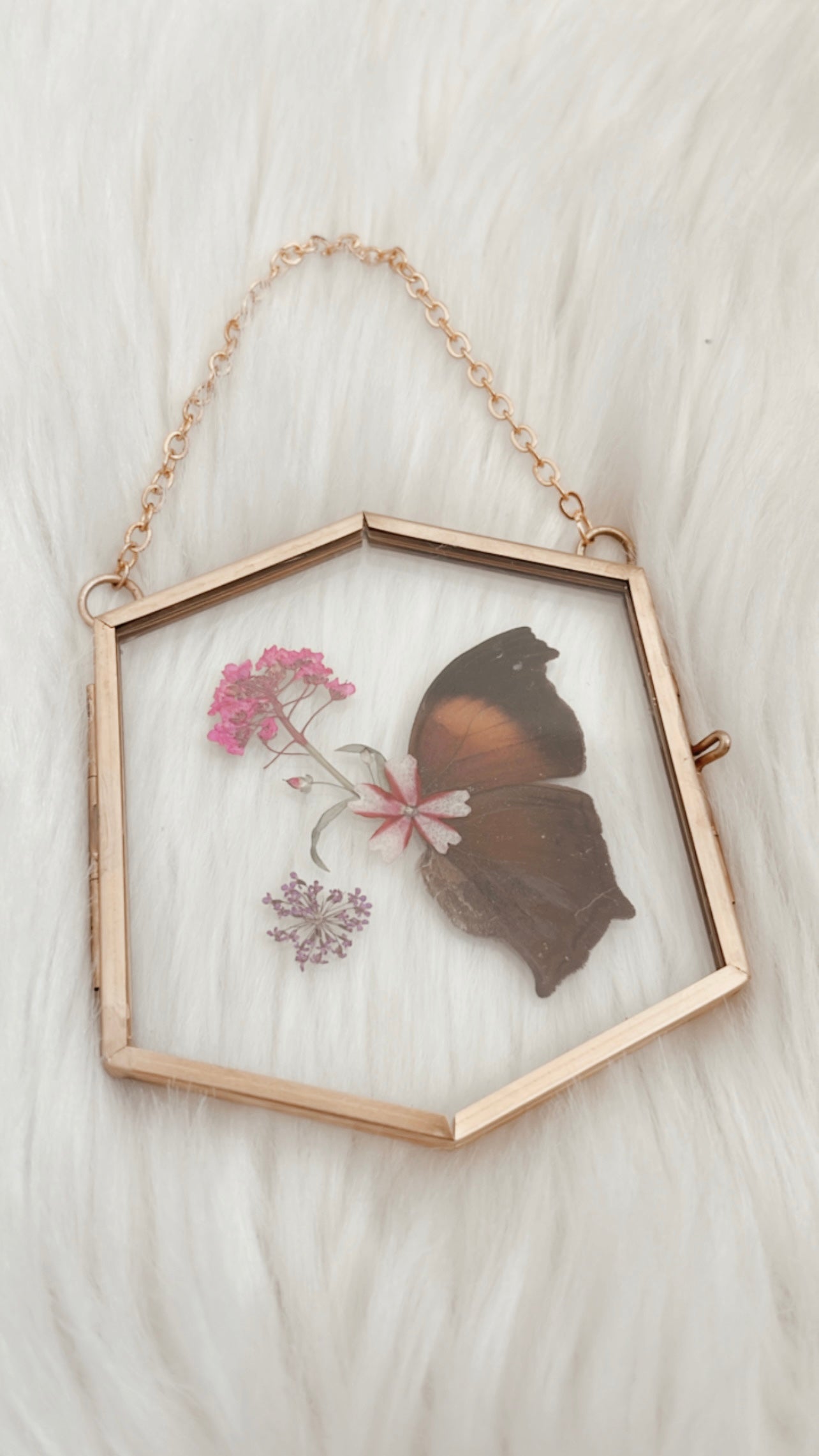 Magenta Butterfly Floral Frame