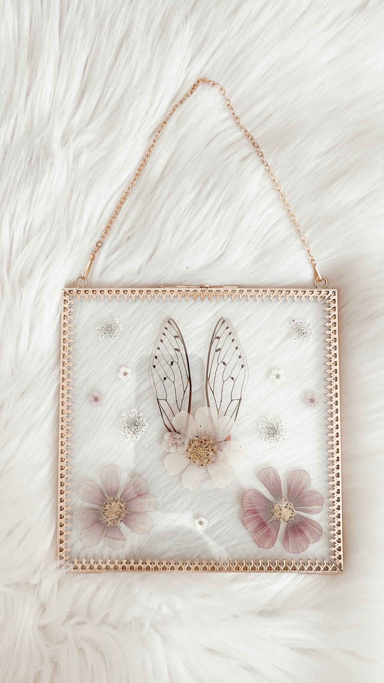 Magnolia Cicada Floral Frame