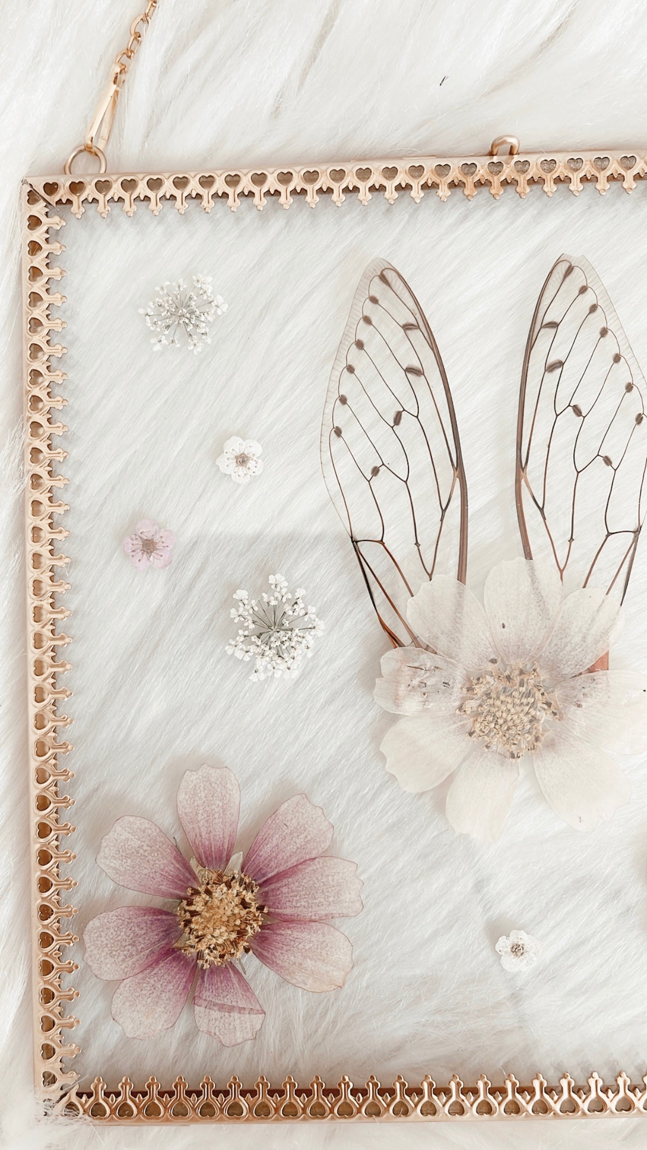 Magnolia Cicada Floral Frame