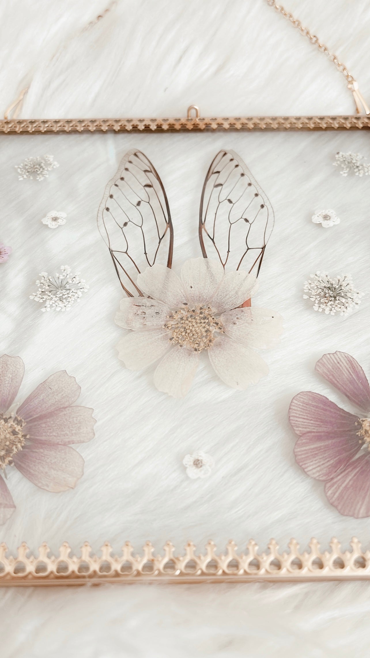 Magnolia Cicada Floral Frame