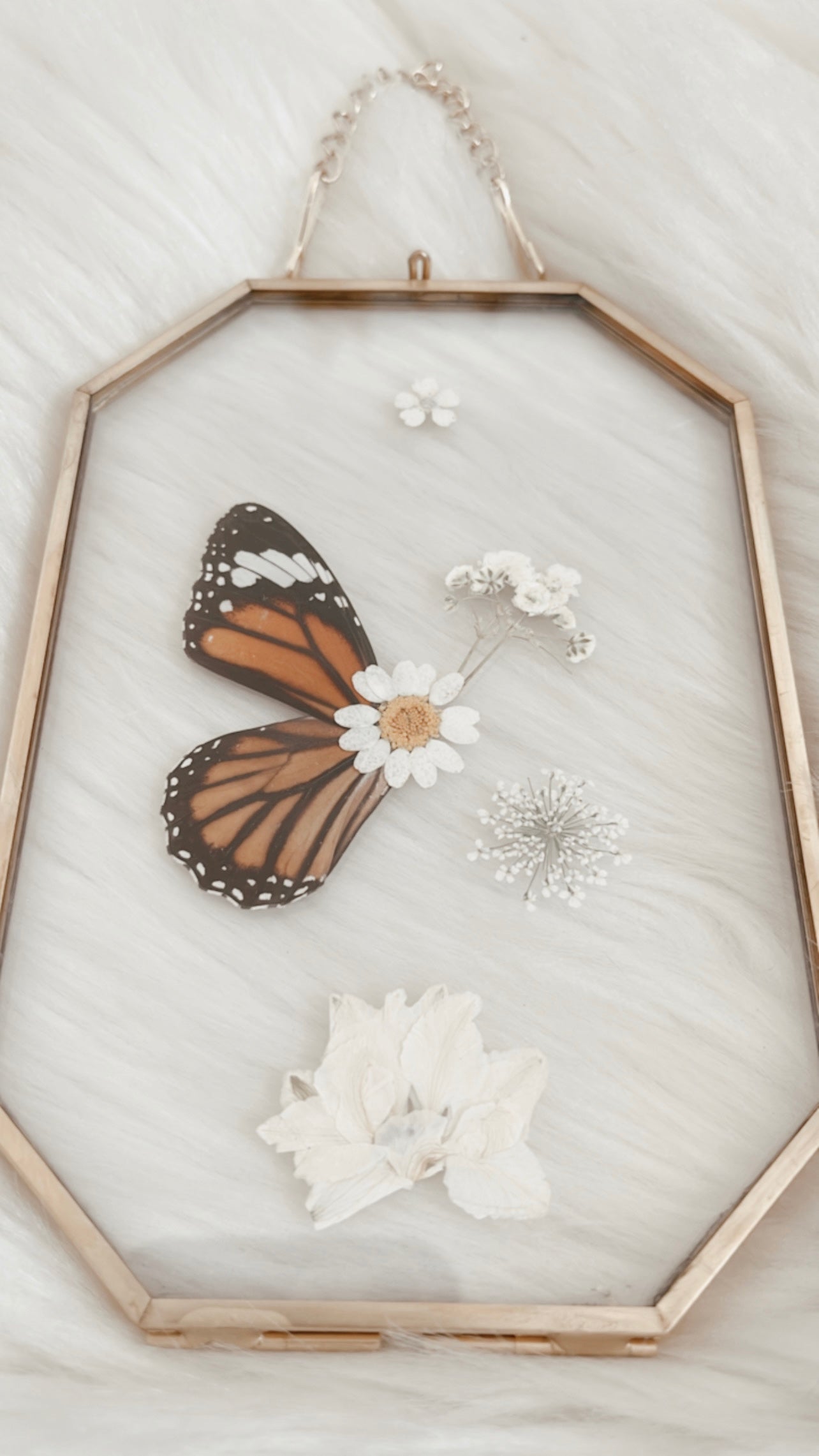 Magnolia Butterfly Floral Frame