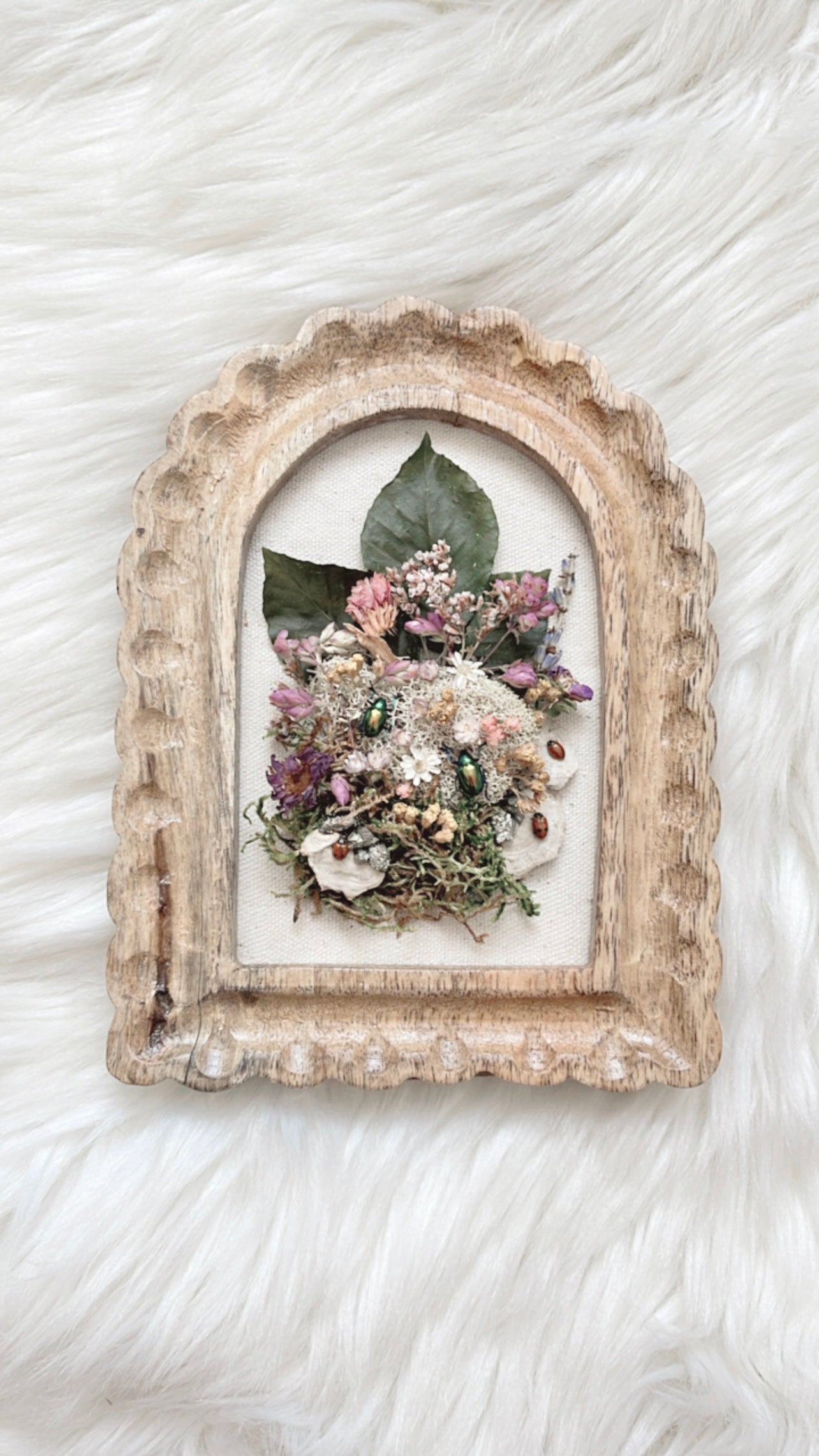 Magnolia Oddities Frame <Insects>