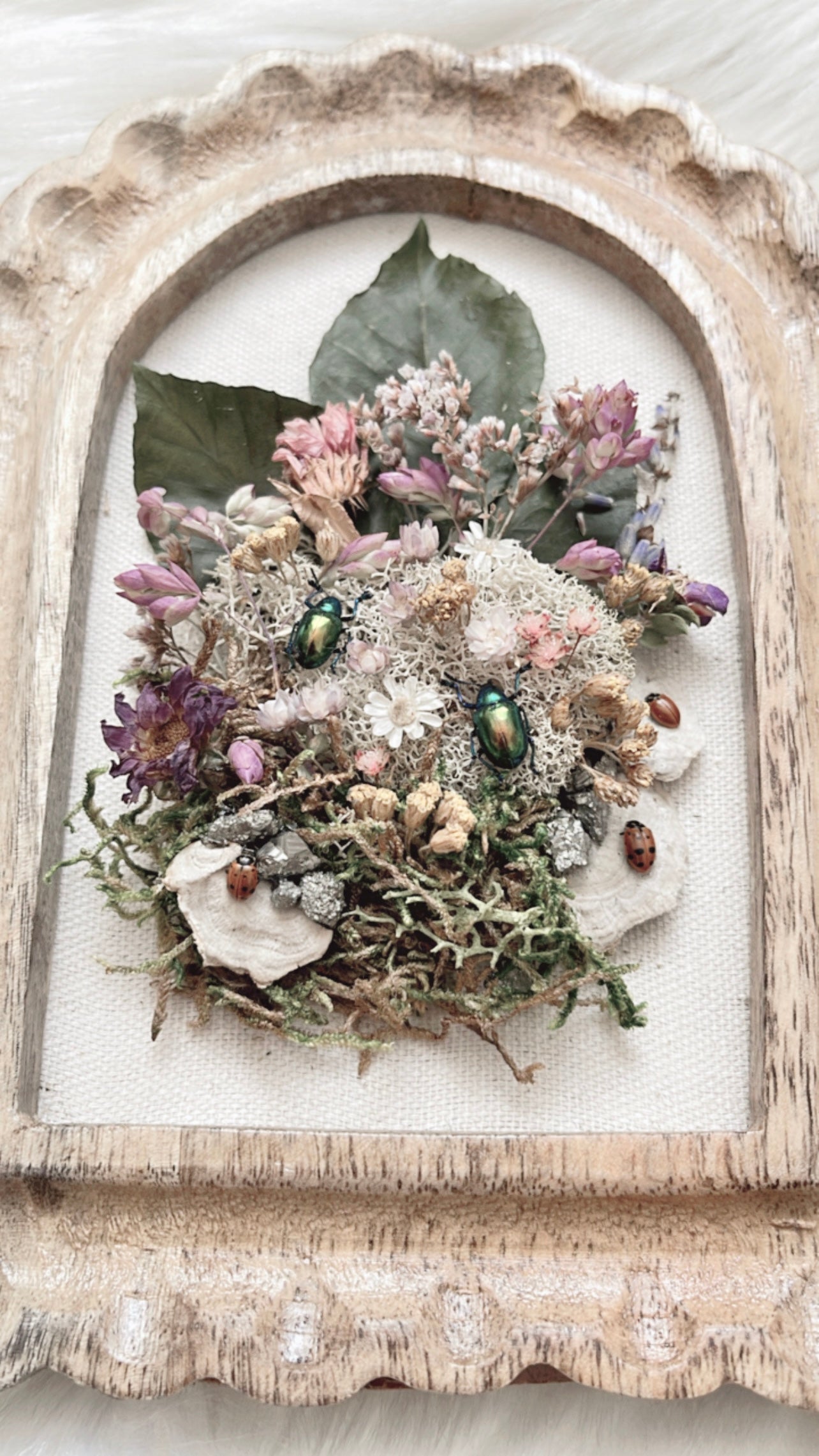 Magnolia Oddities Frame <Insects>