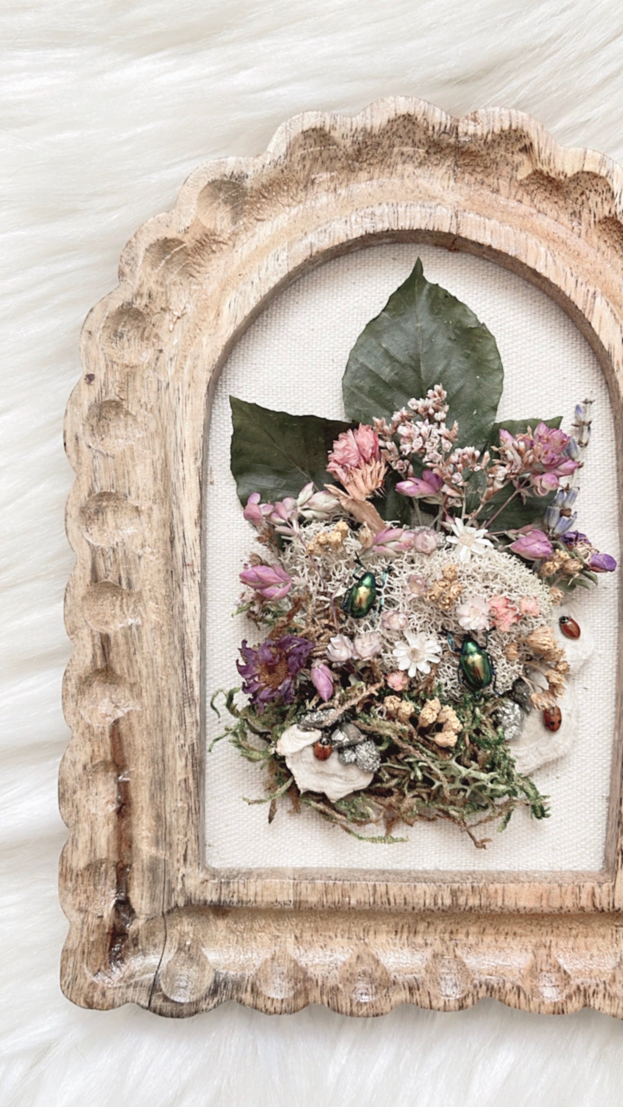 Magnolia Oddities Frame <Insects>