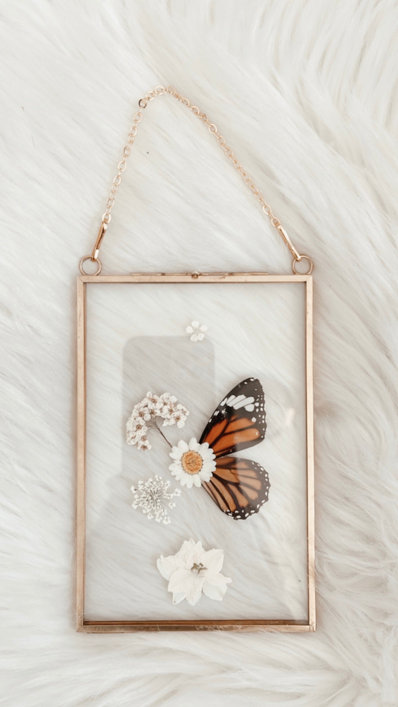 Margot Butterfly Floral Frame