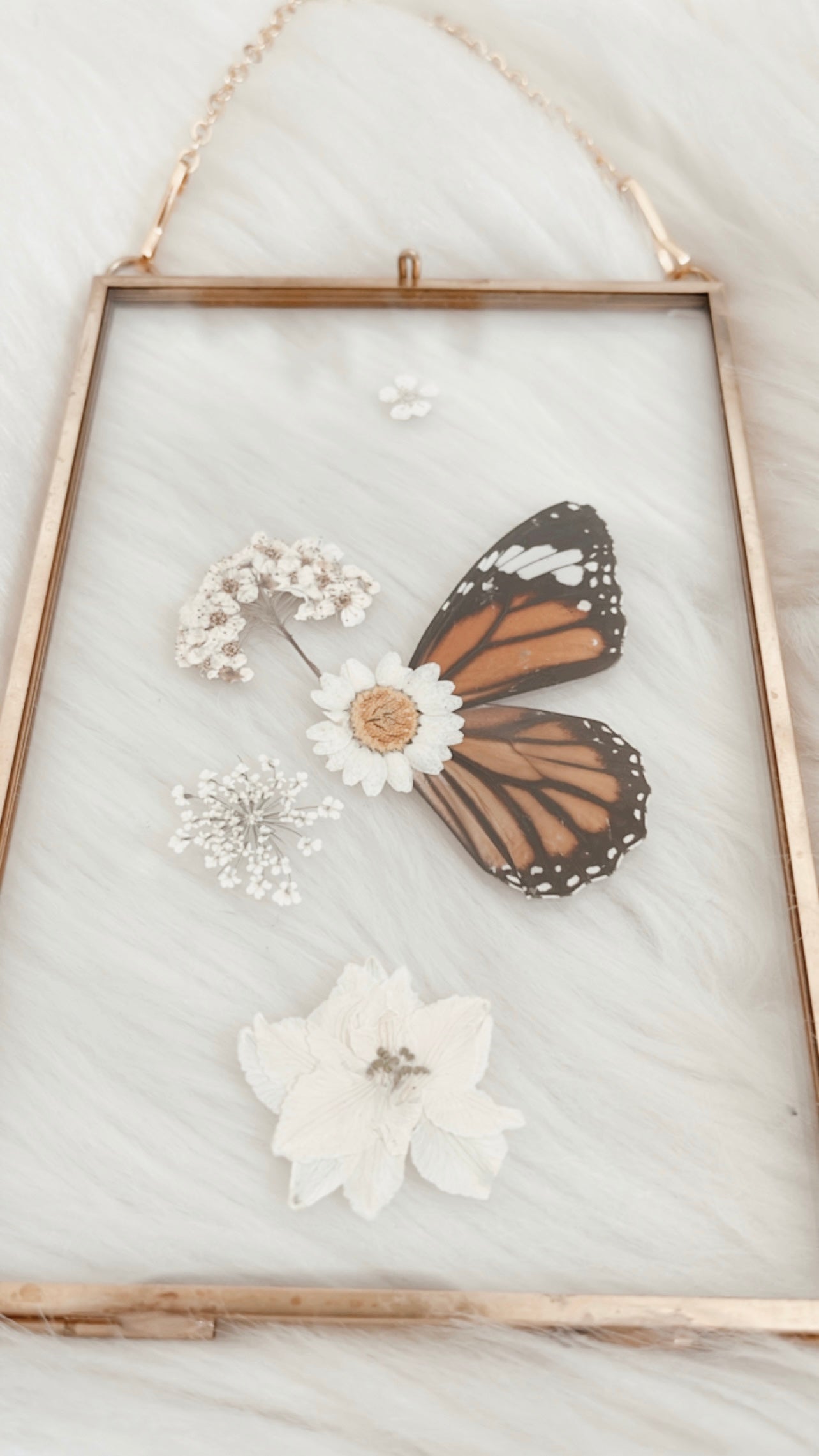 Margot Butterfly Floral Frame