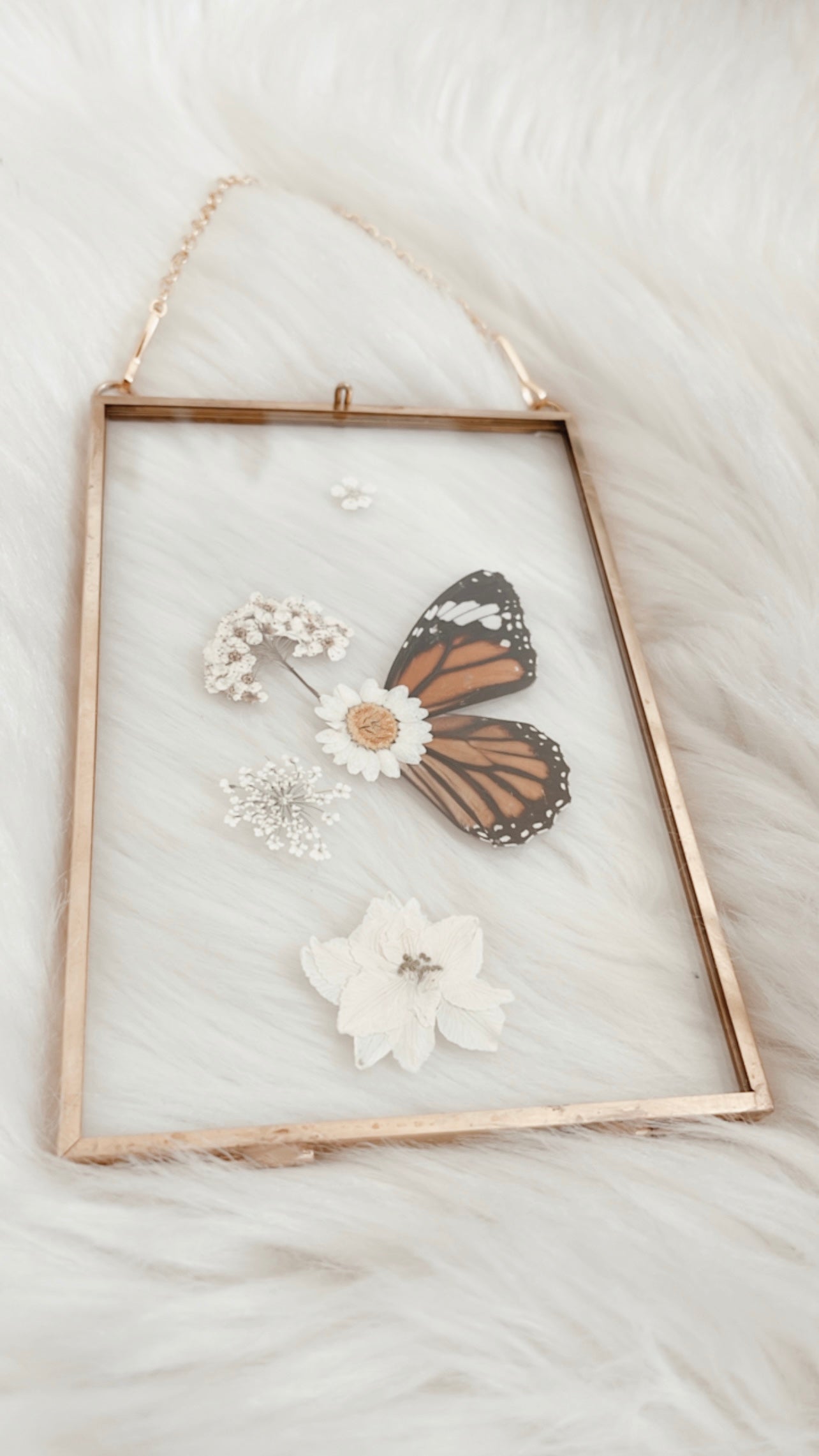 Margot Butterfly Floral Frame