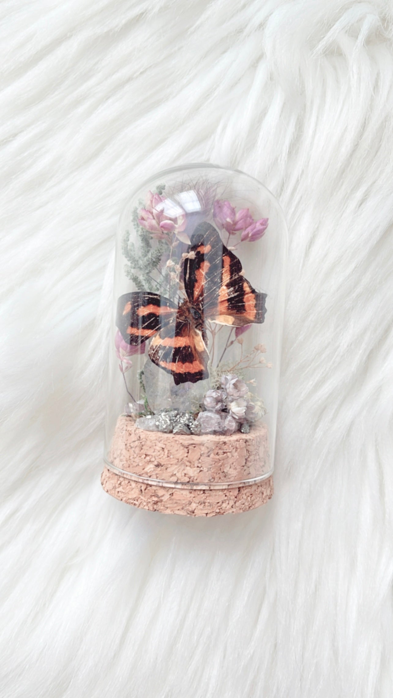 Margot Terrarium