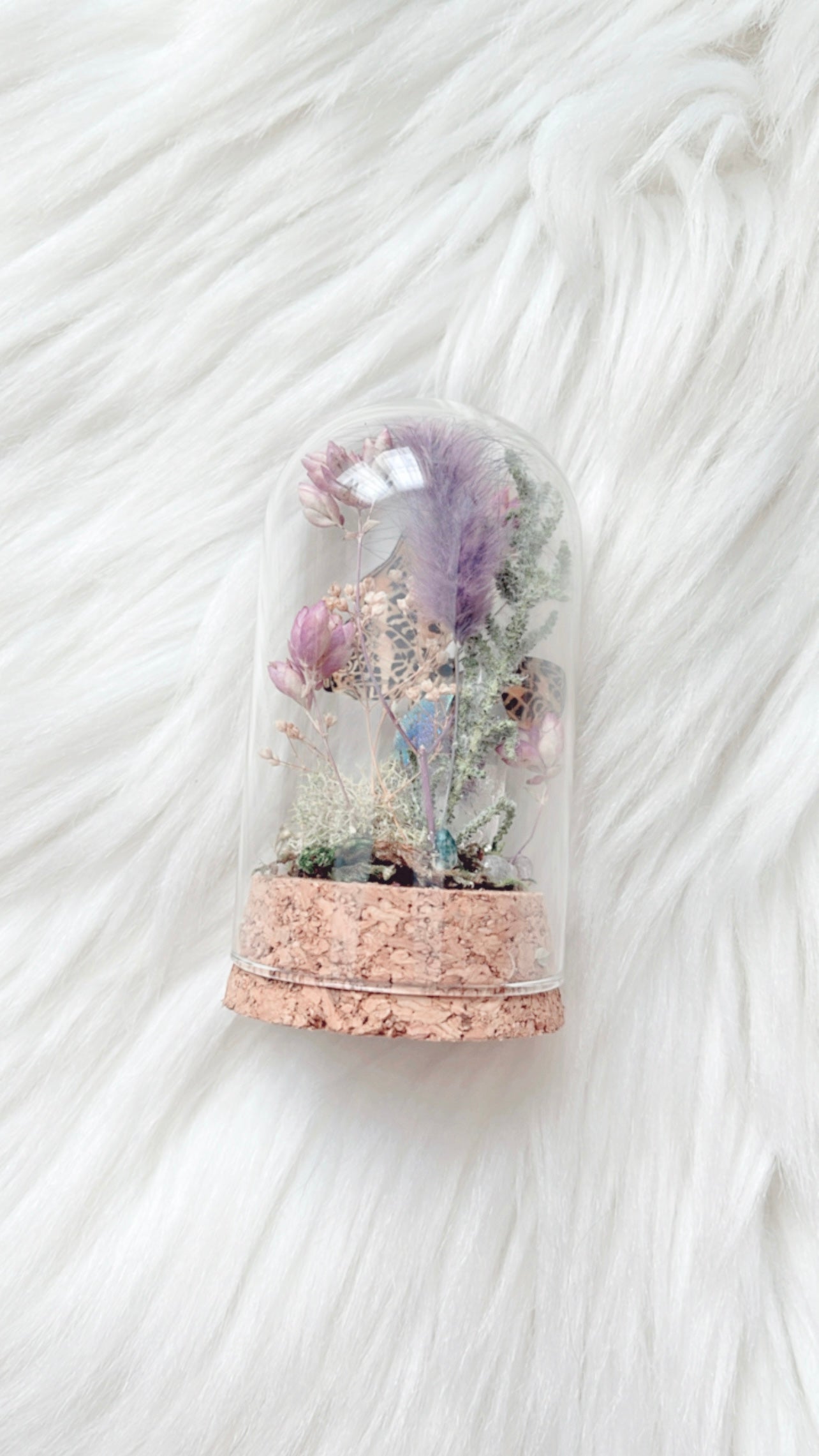 Margot Terrarium