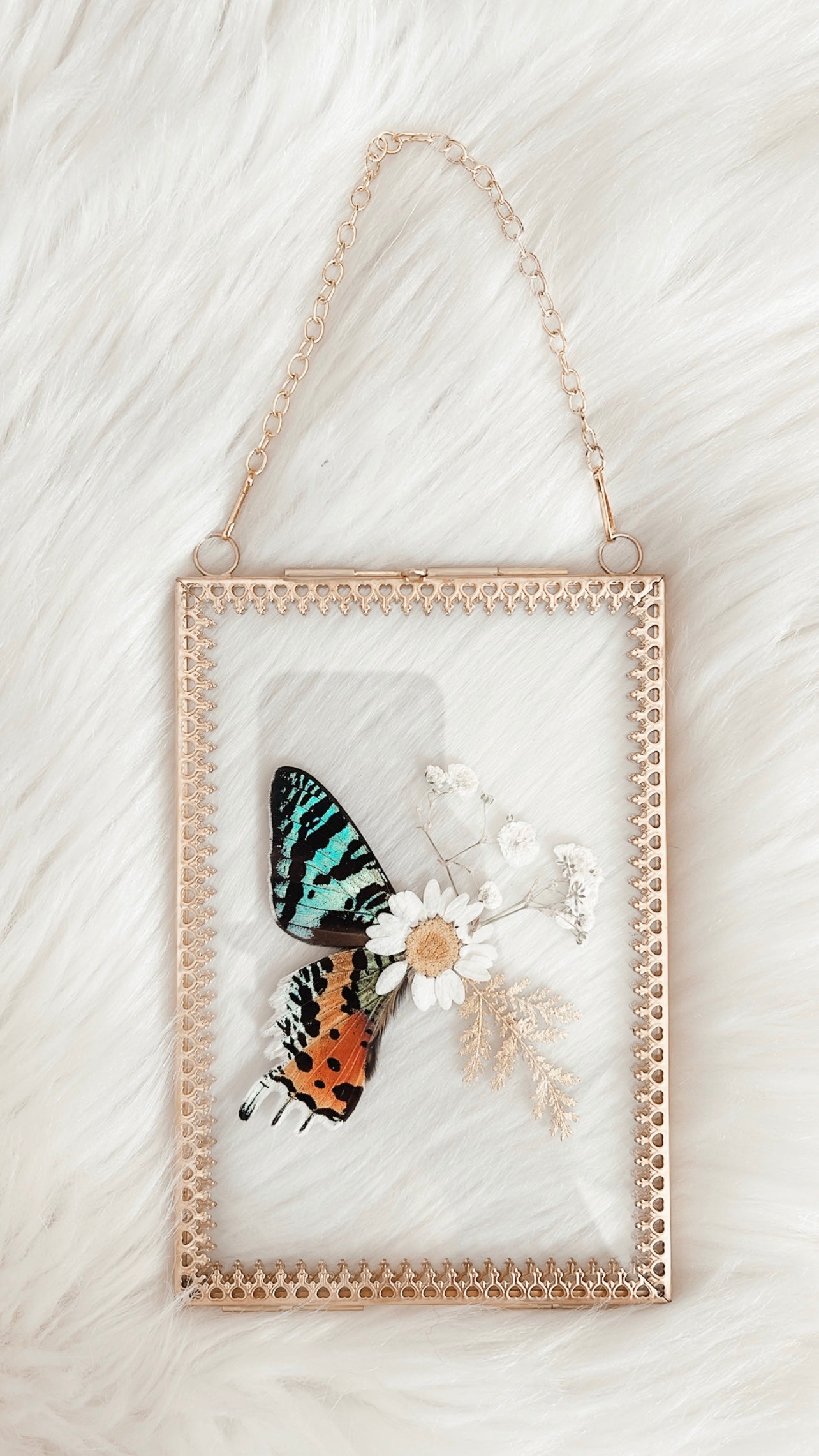 Marissa Moth Floral Frame