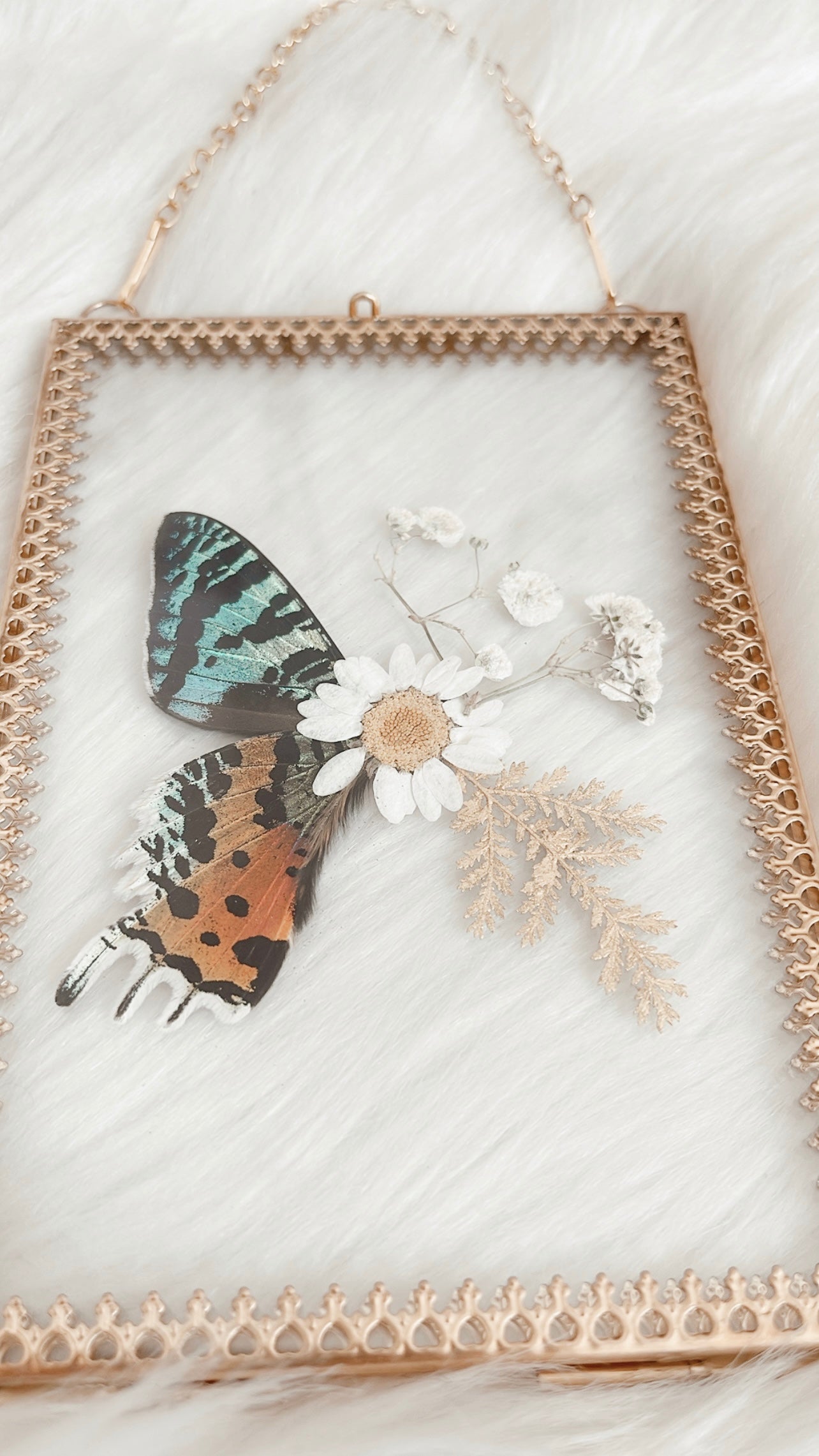 Marissa Moth Floral Frame