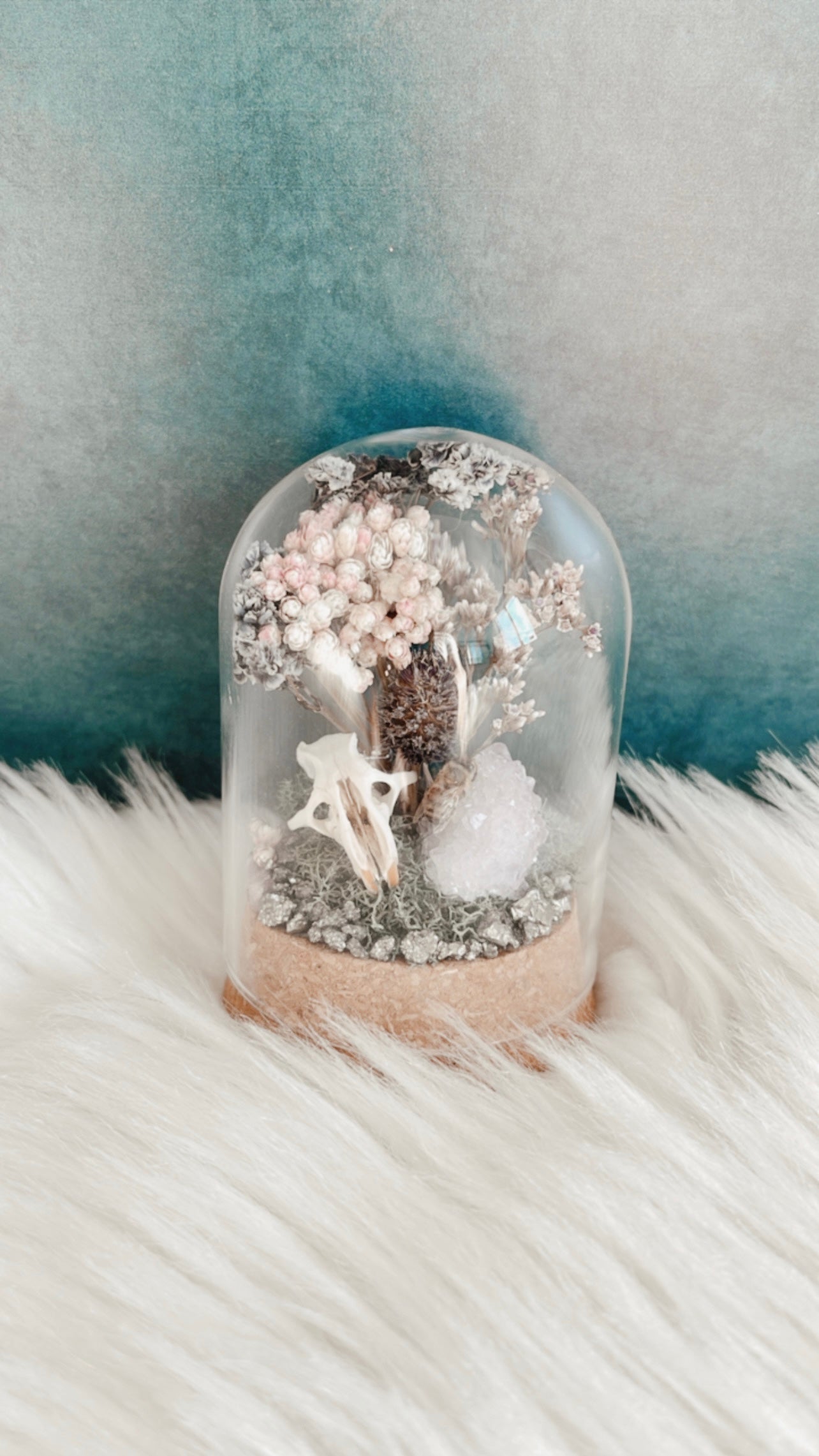 Marjorie Terrarium