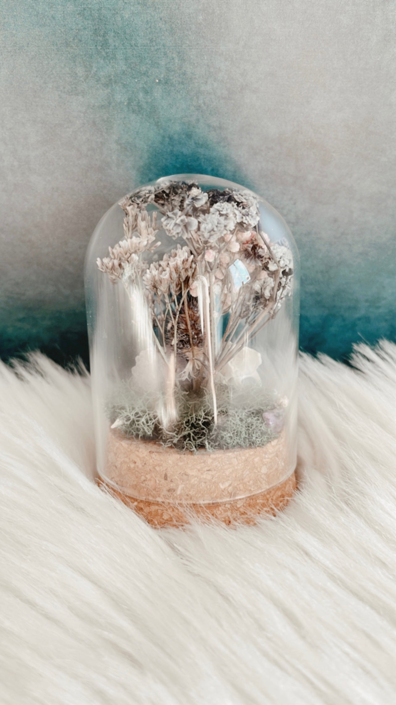 Marjorie Terrarium