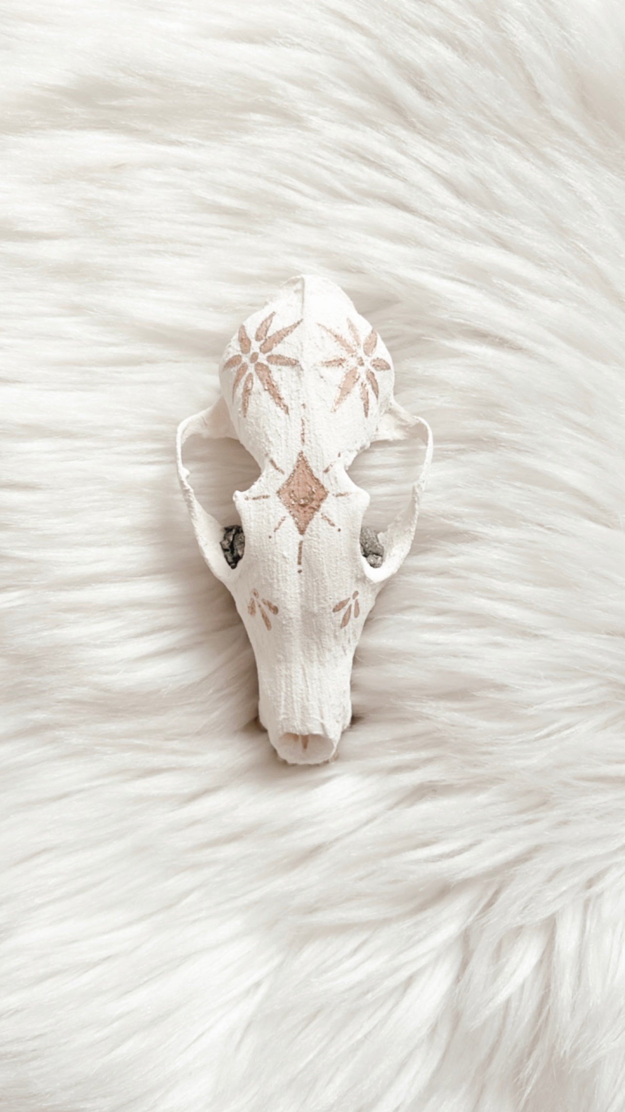 ❋ August 30, 2025 ❋ 11:15a - Fox Skull Painting Workshop