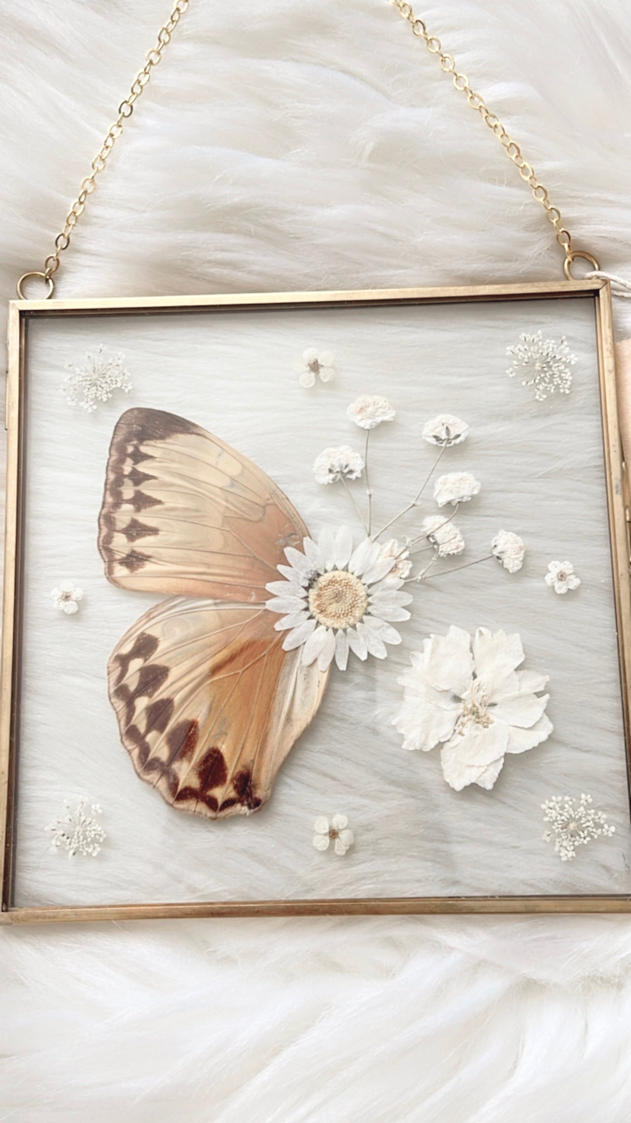 Maud Butterfly Floral Frame <6x6in>