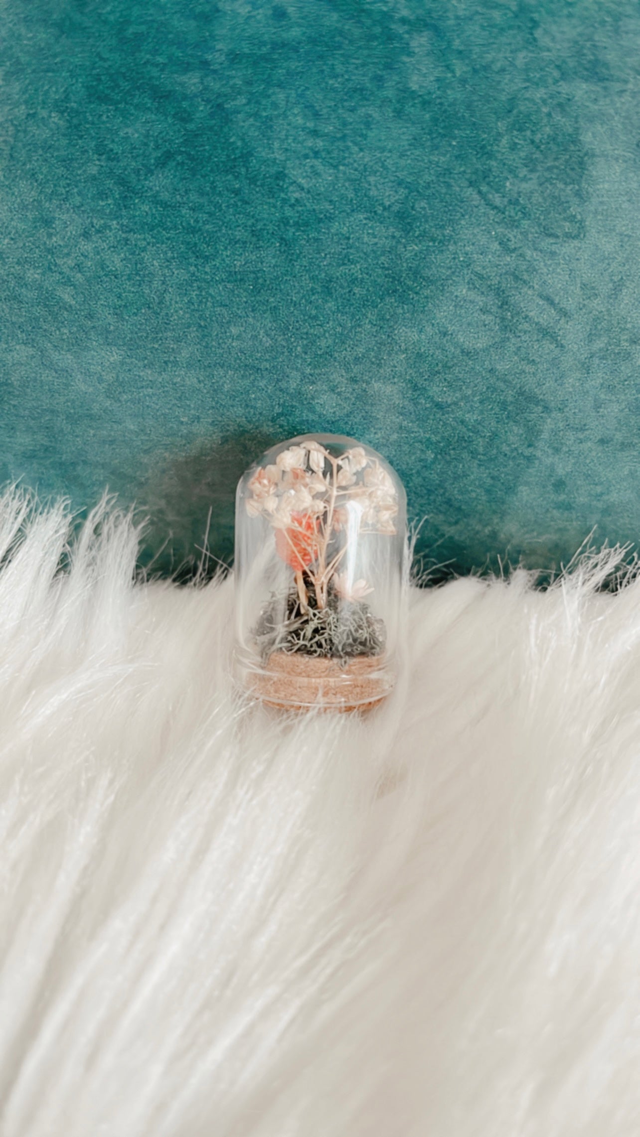 Maya Mini Terrarium