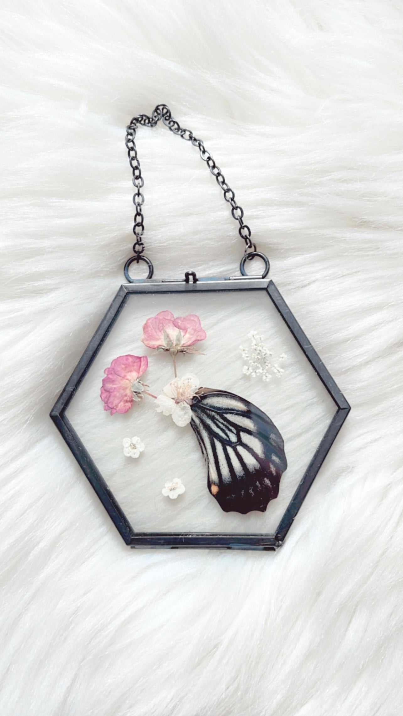 Mellie Butterfly Floral Frame