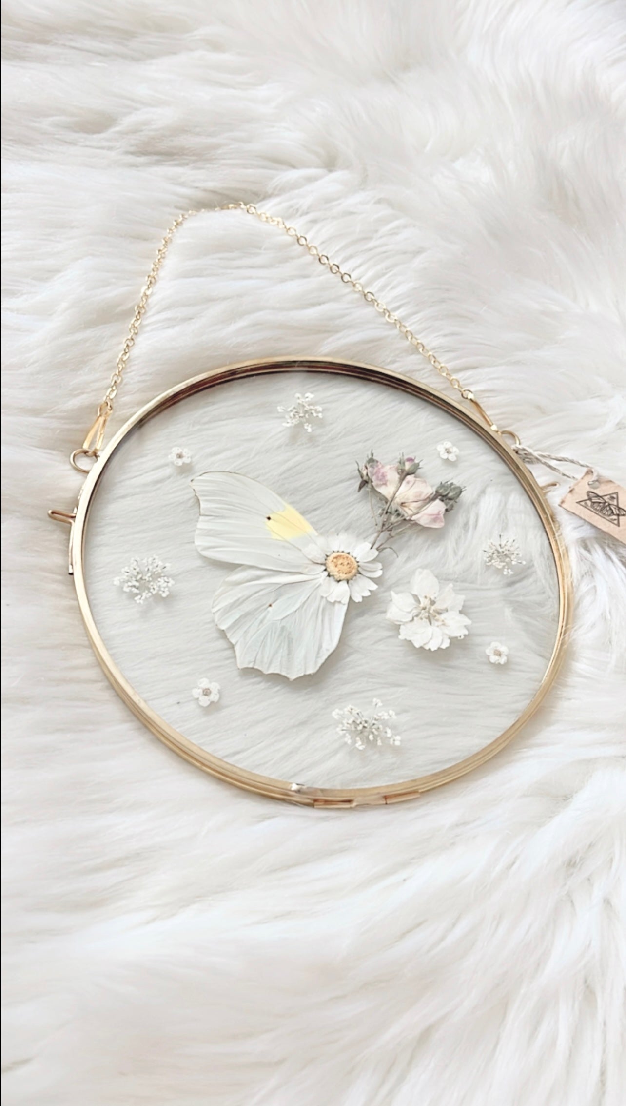 Mellie Butterfly Floral Frame <6.5in>