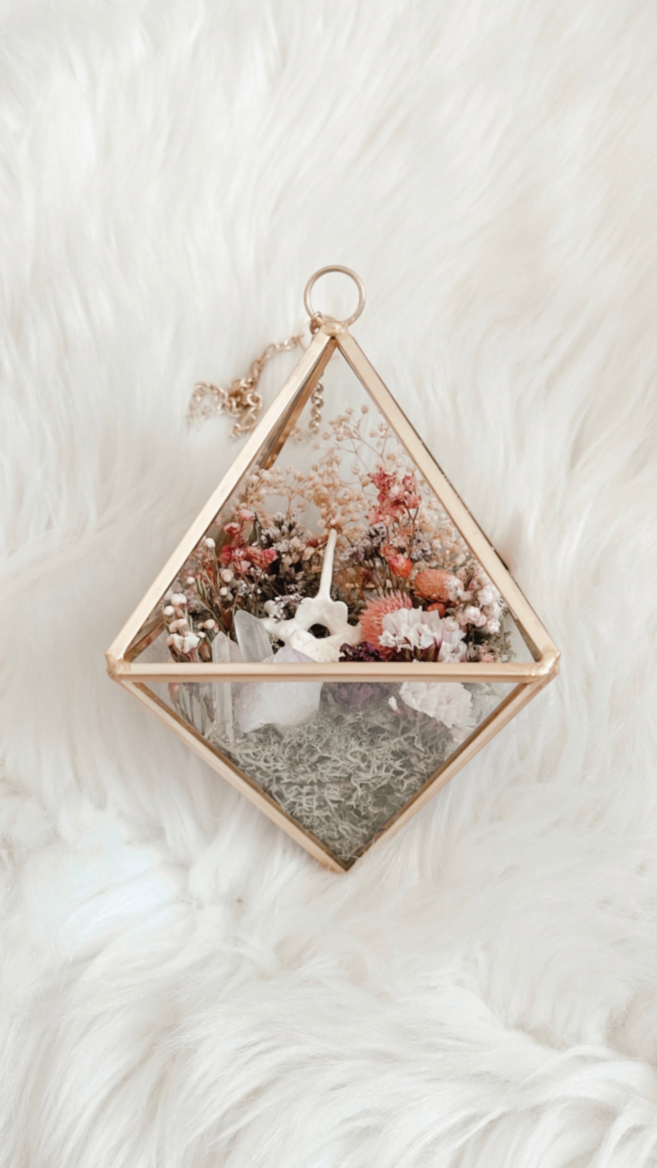 Mia Terrarium Hanging