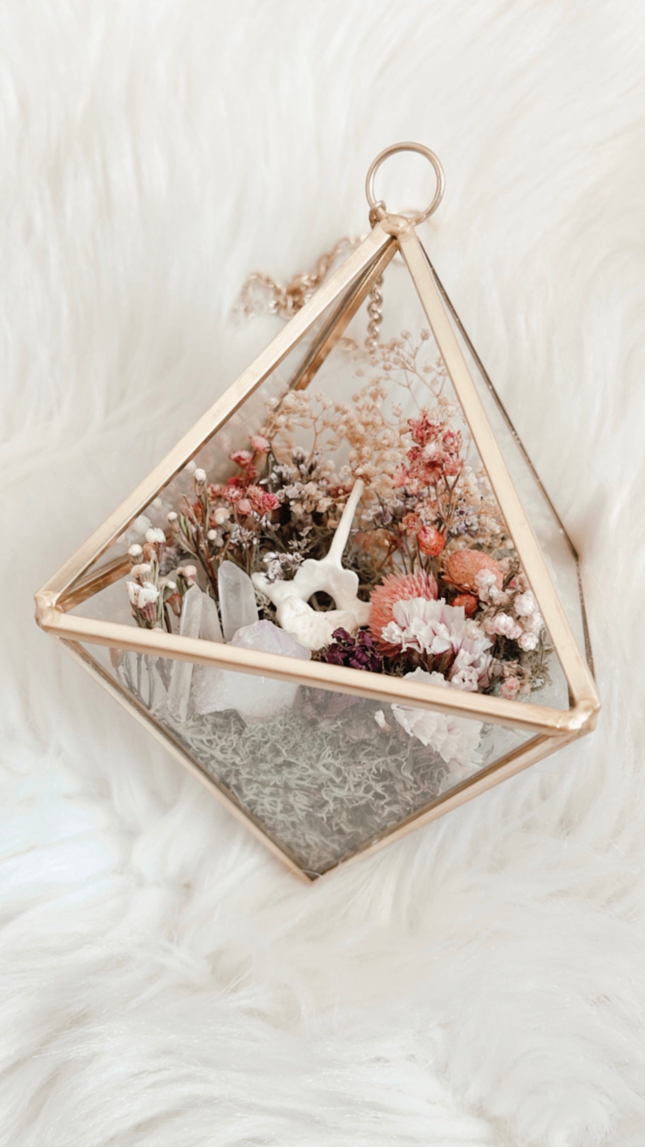 Mia Terrarium Hanging