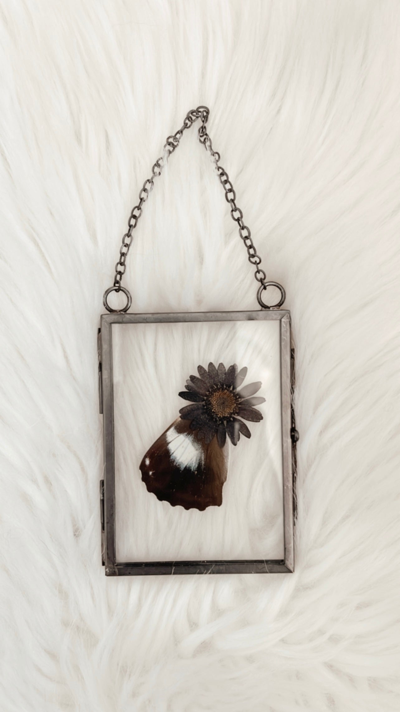 Michaela Butterfly Floral Frame